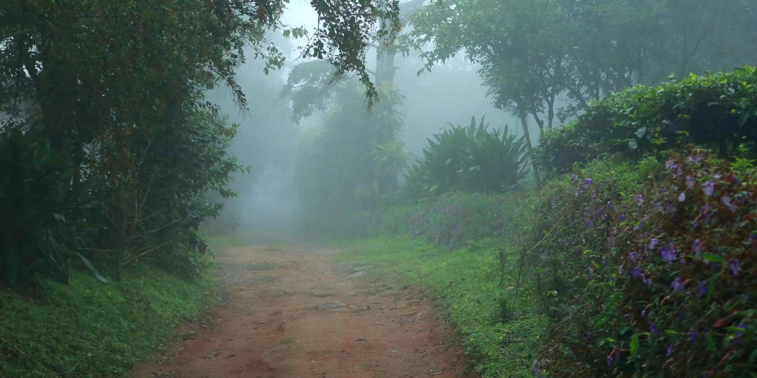 Hiking in Misty Mountain Experience