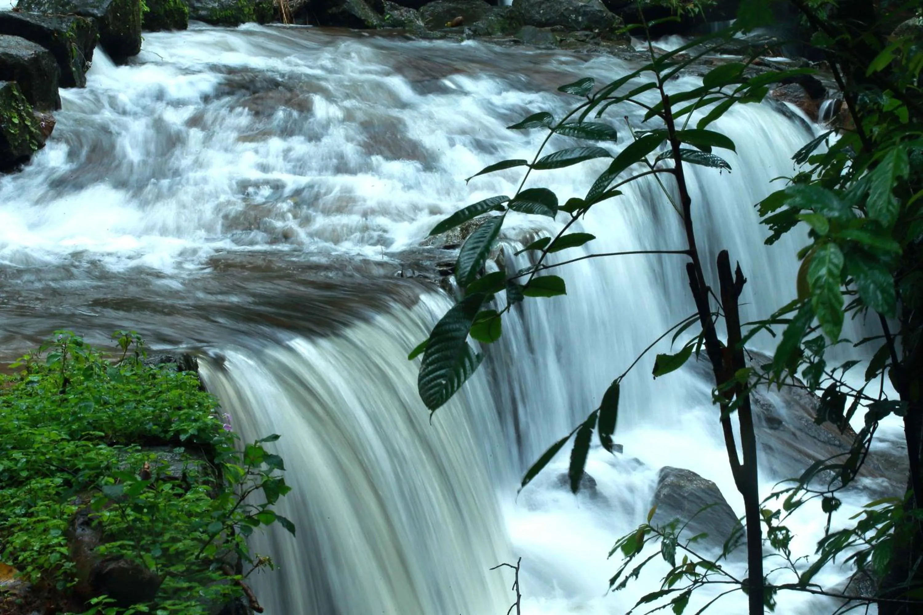 Natural landscape in Misty Mountain Experience