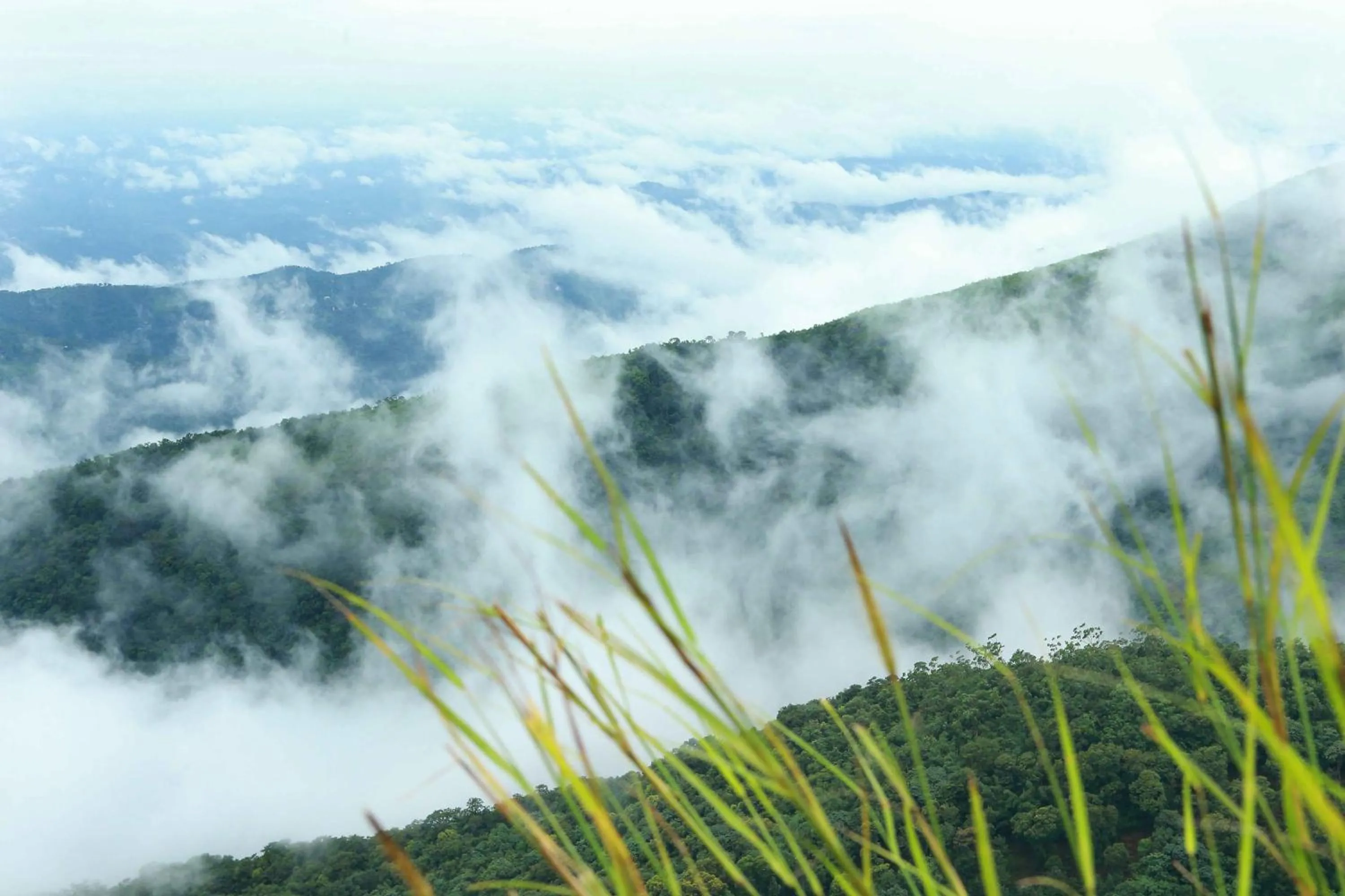 Natural landscape in Misty Mountain Experience