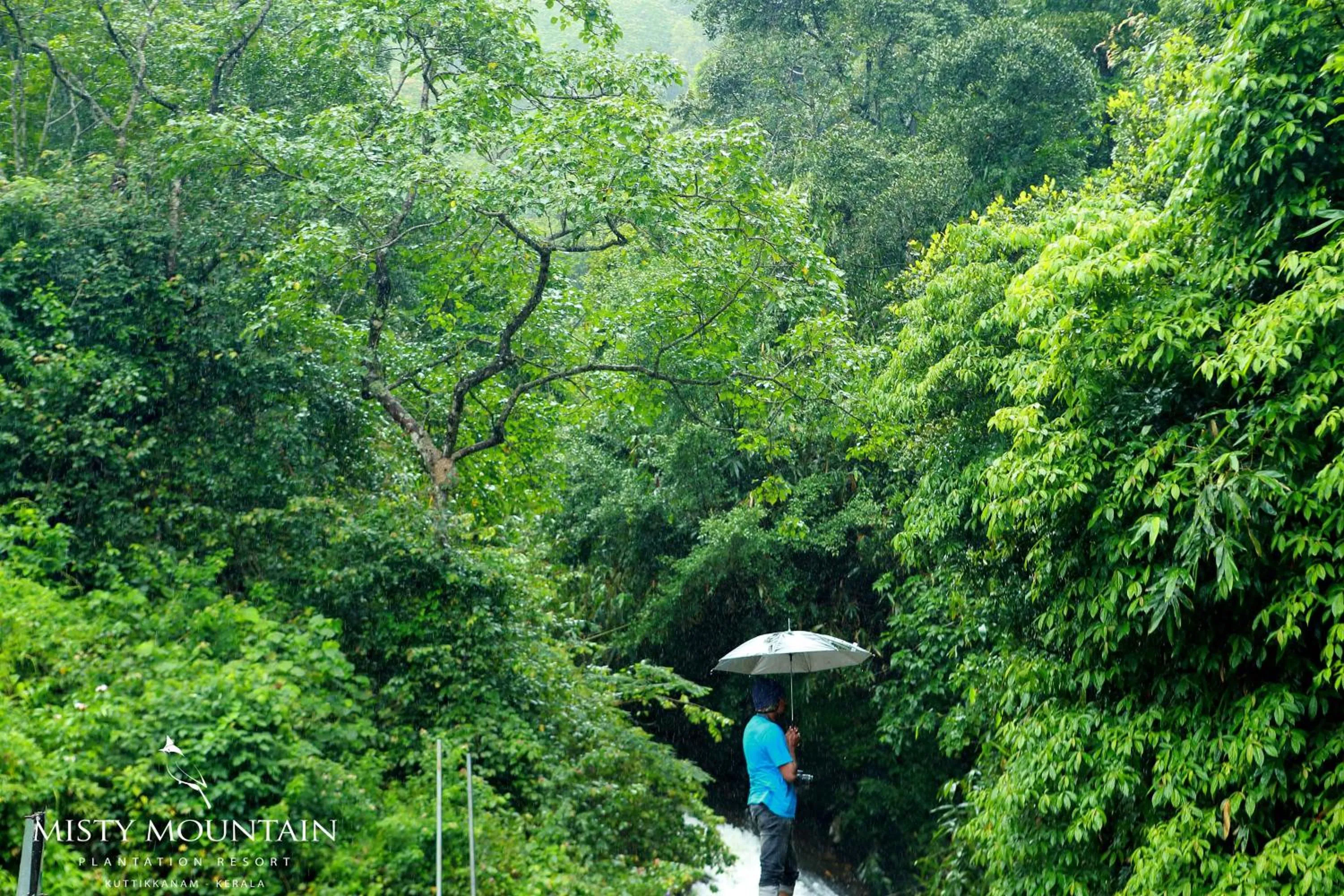 Natural landscape in Misty Mountain Experience