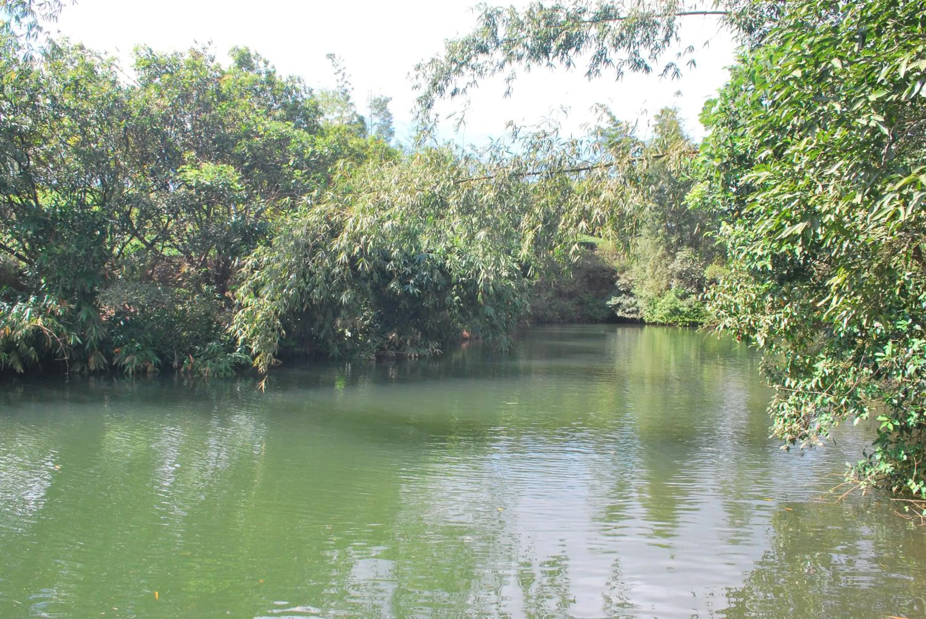 Fishing in Misty Mountain Experience