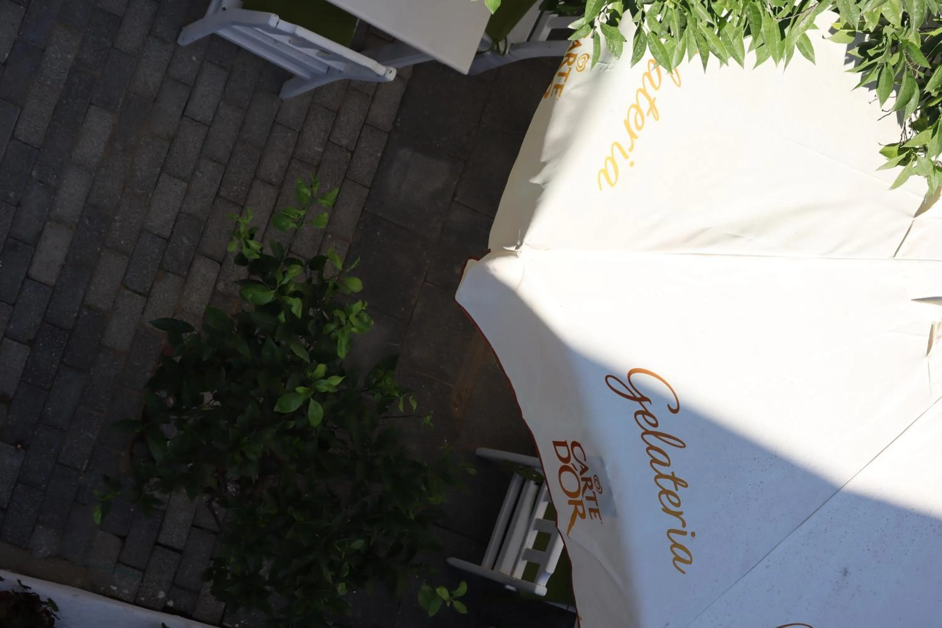 Garden view in La Sorella