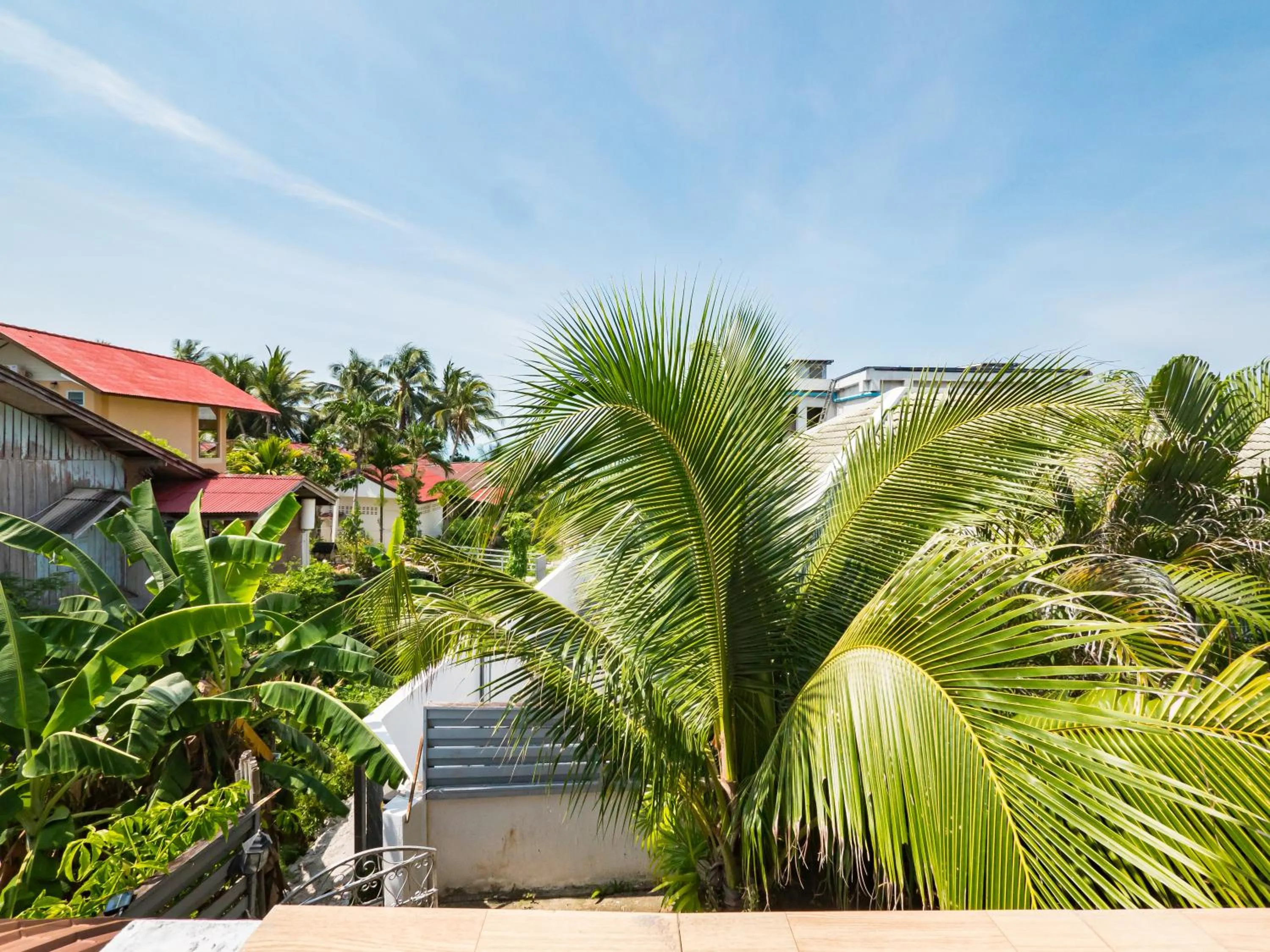Garden view in Lemon House apartment