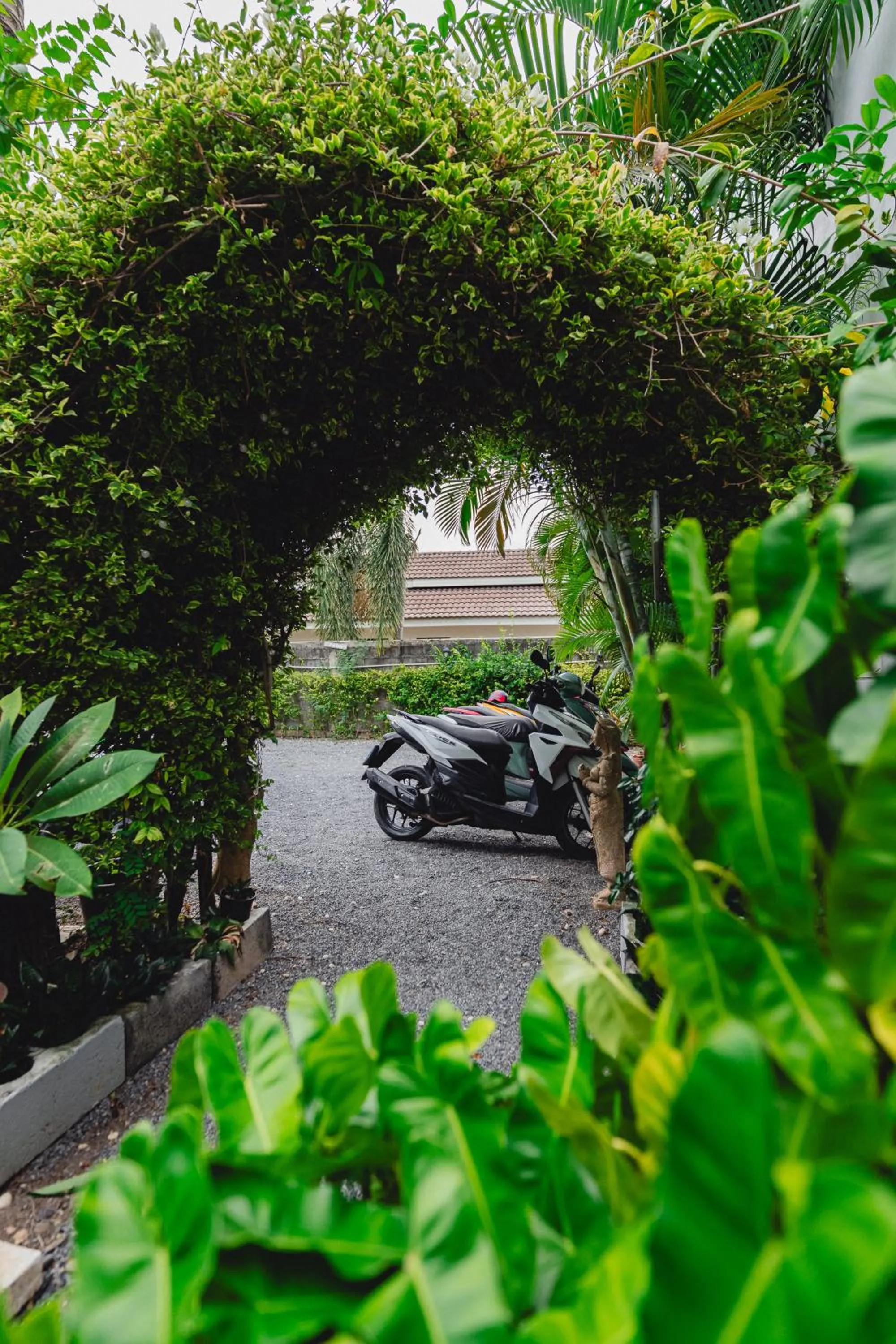 Parking in Lemon House apartment