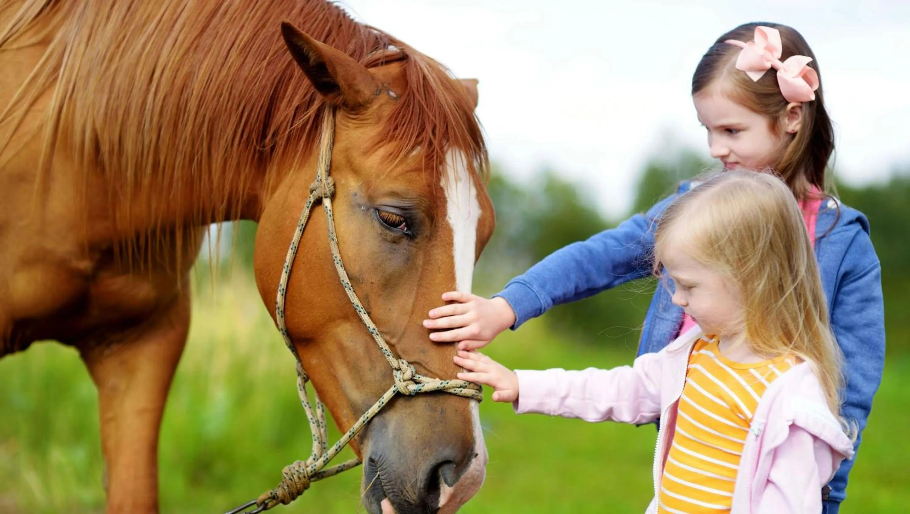 Charles Wesley Motor Lodge Downtown Broken Bow- Hochatown