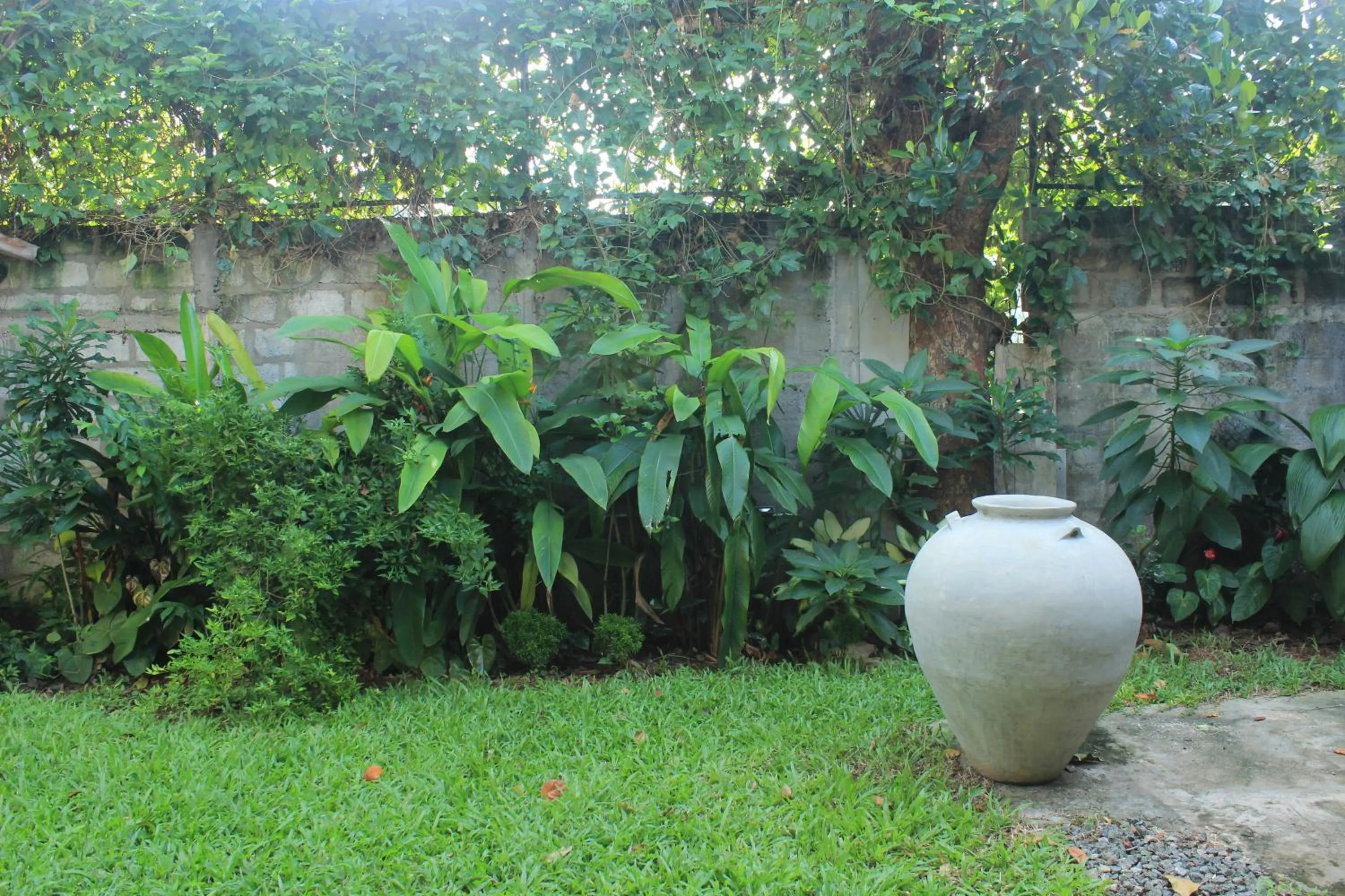 Garden in Villa Escondite - The Hotel