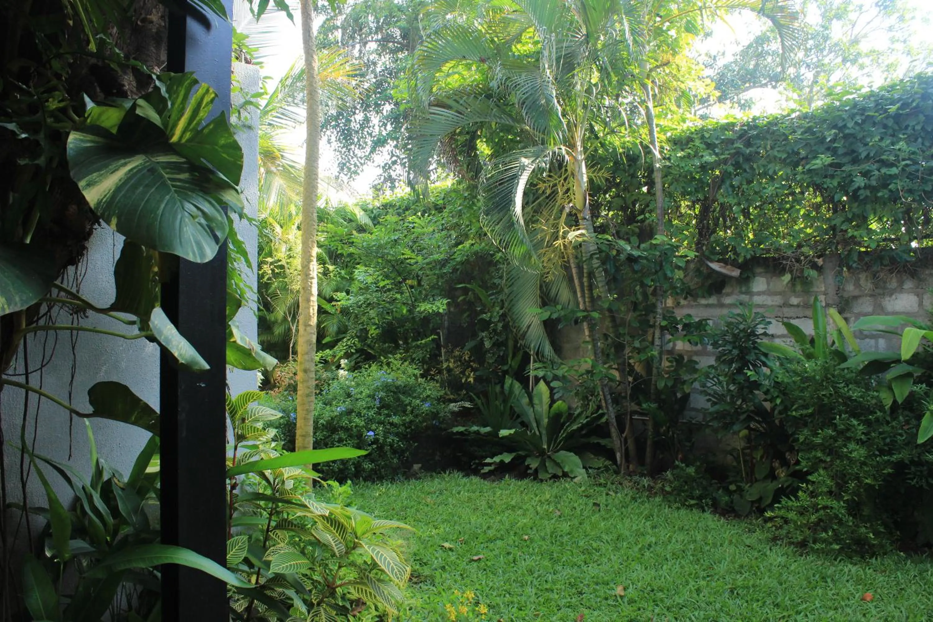 Garden in Villa Escondite - The Hotel