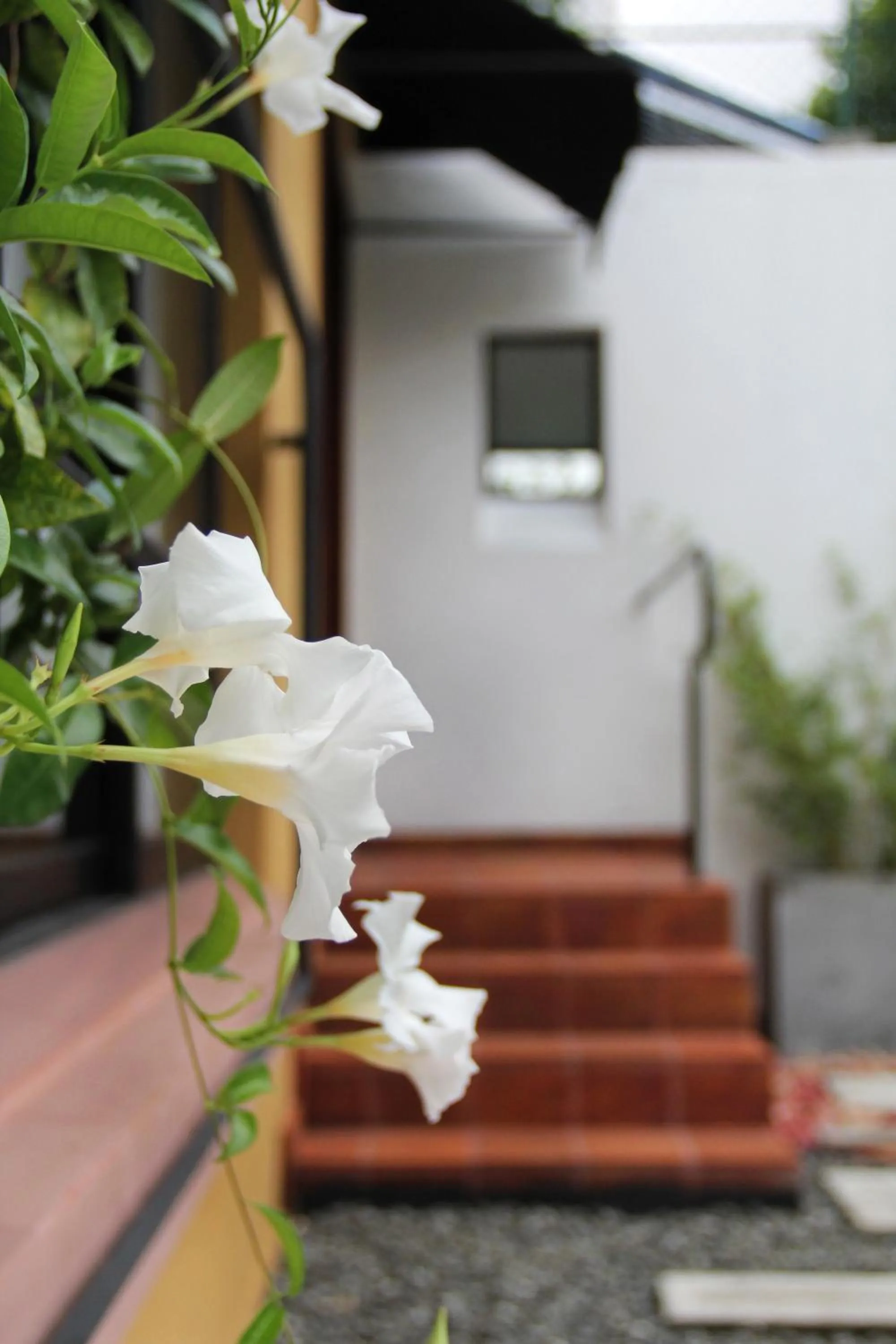 Facade/entrance in Villa Escondite - The Hotel