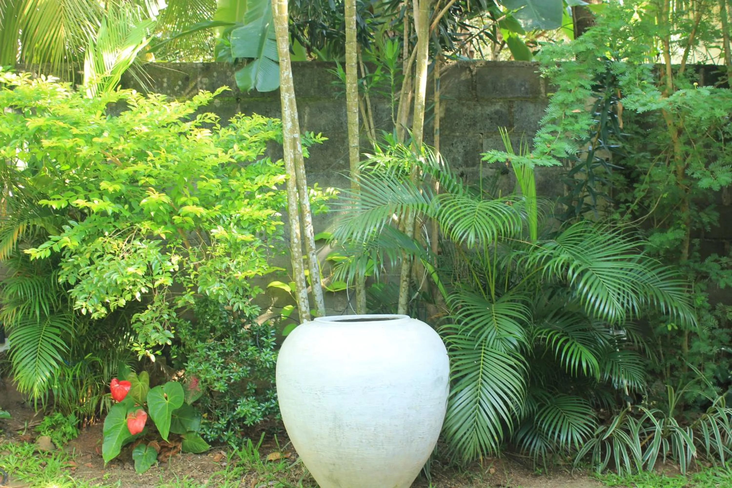 Garden in Villa Escondite - The Hotel