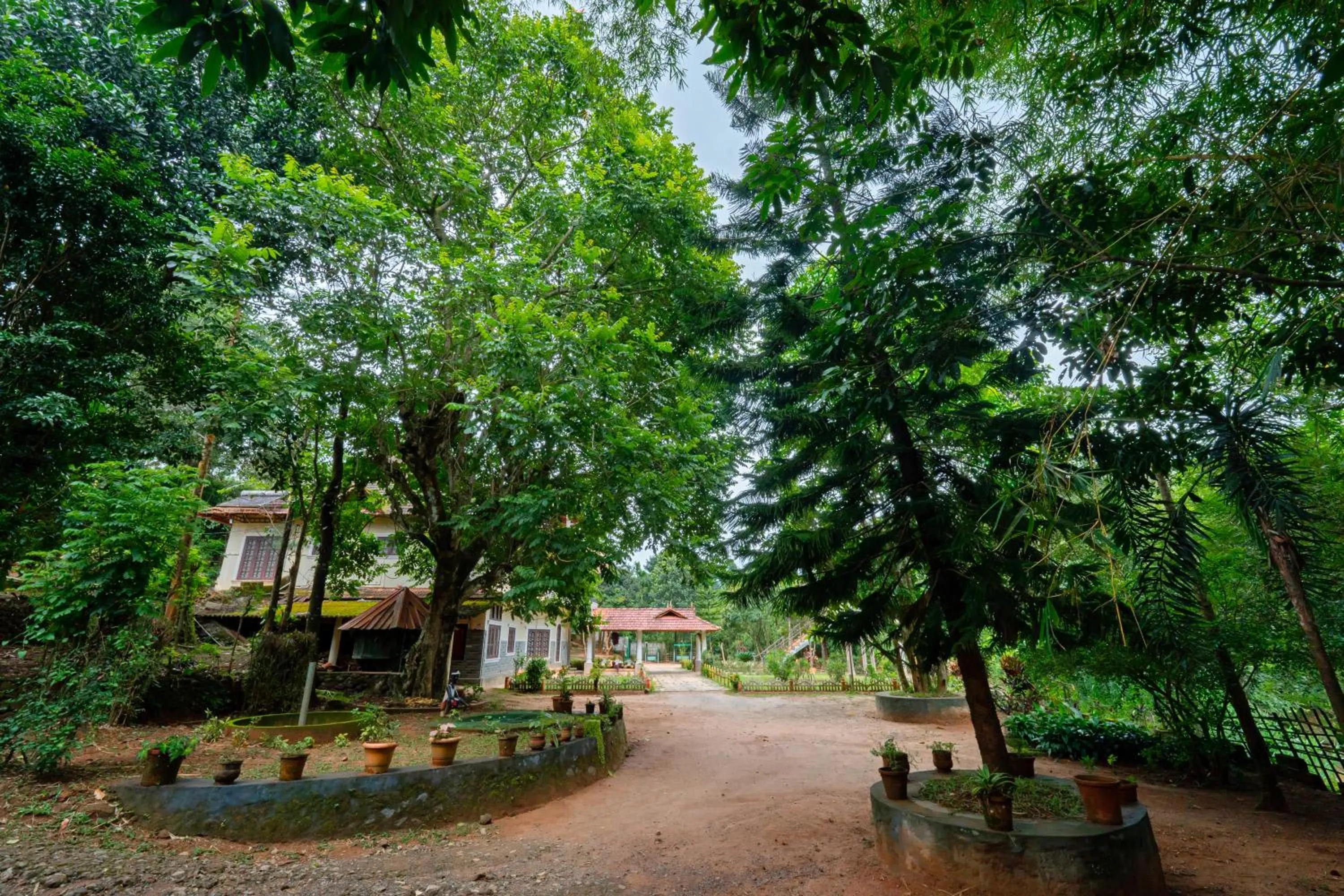 Natural landscape in Misty Heights by The Sanihara