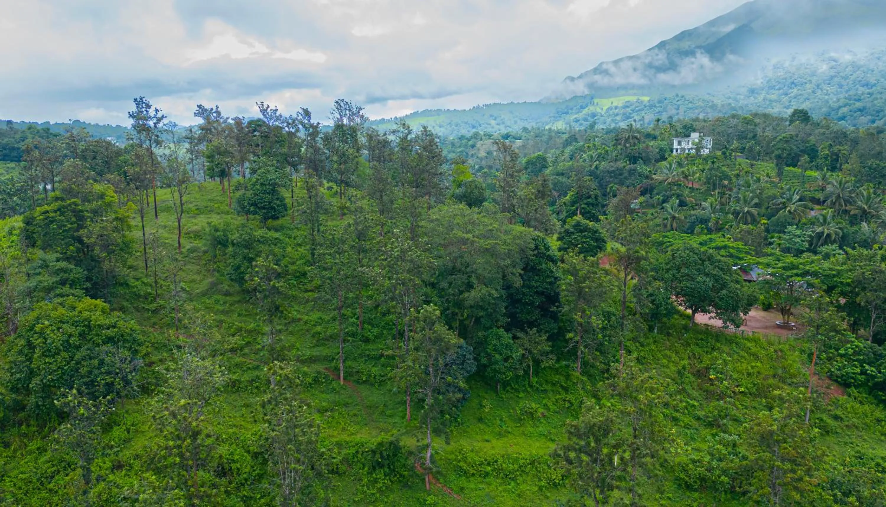 View (from property/room) in Misty Heights by The Sanihara