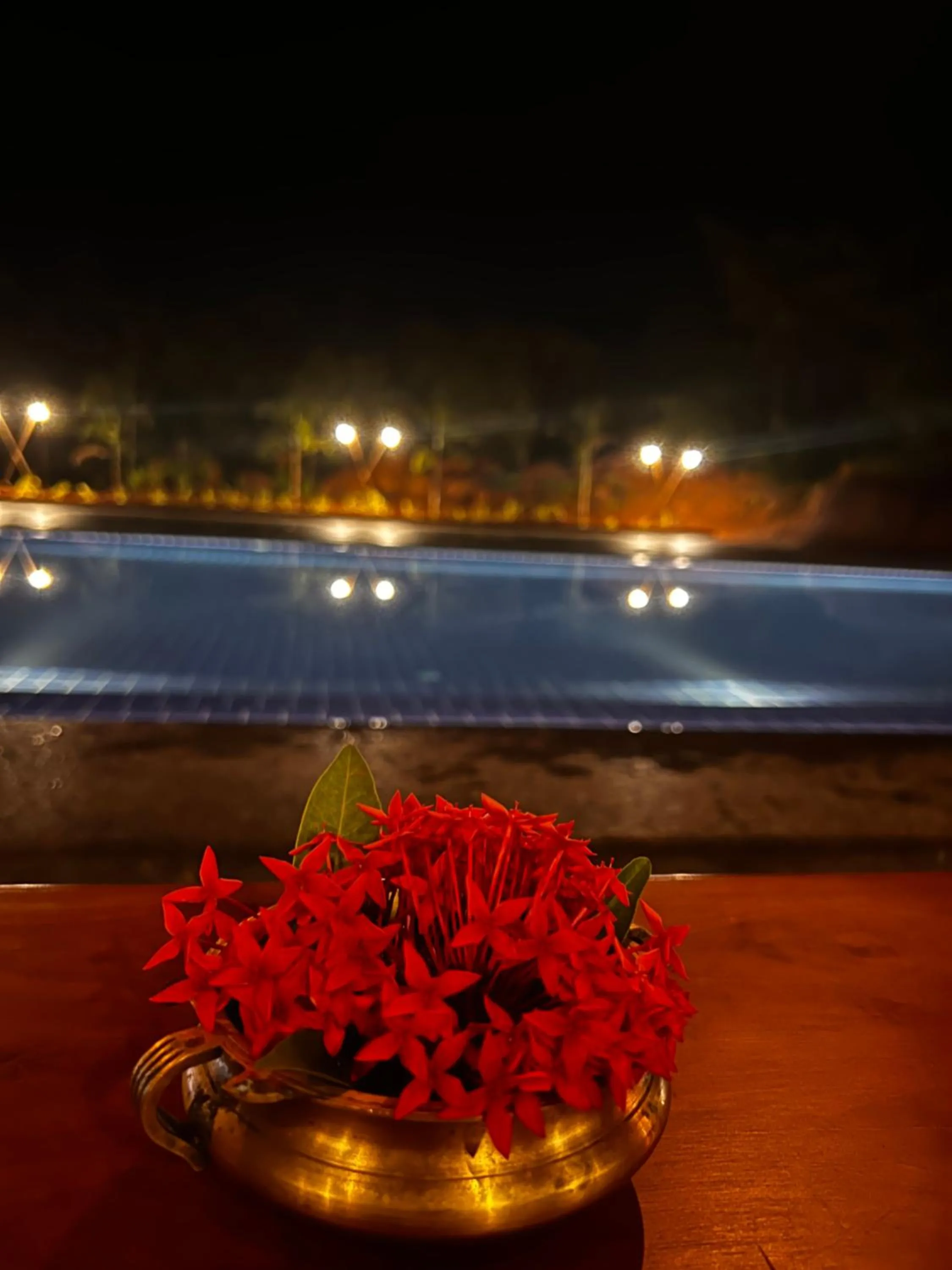 Swimming pool in Vaidekam Resorts & Wellness, Kannur