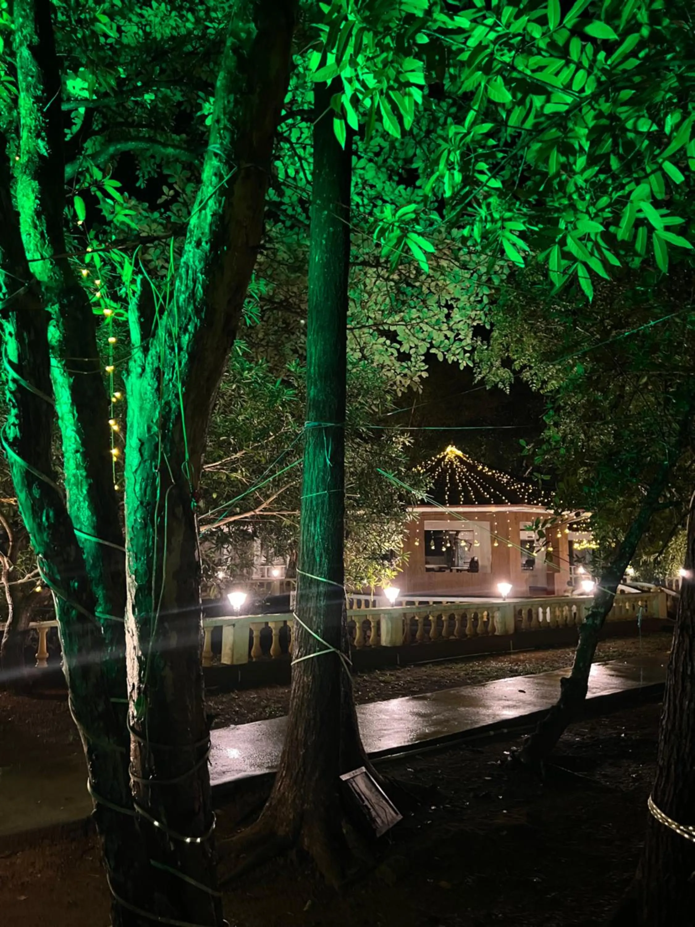 Surya Eco and Wedding Resort