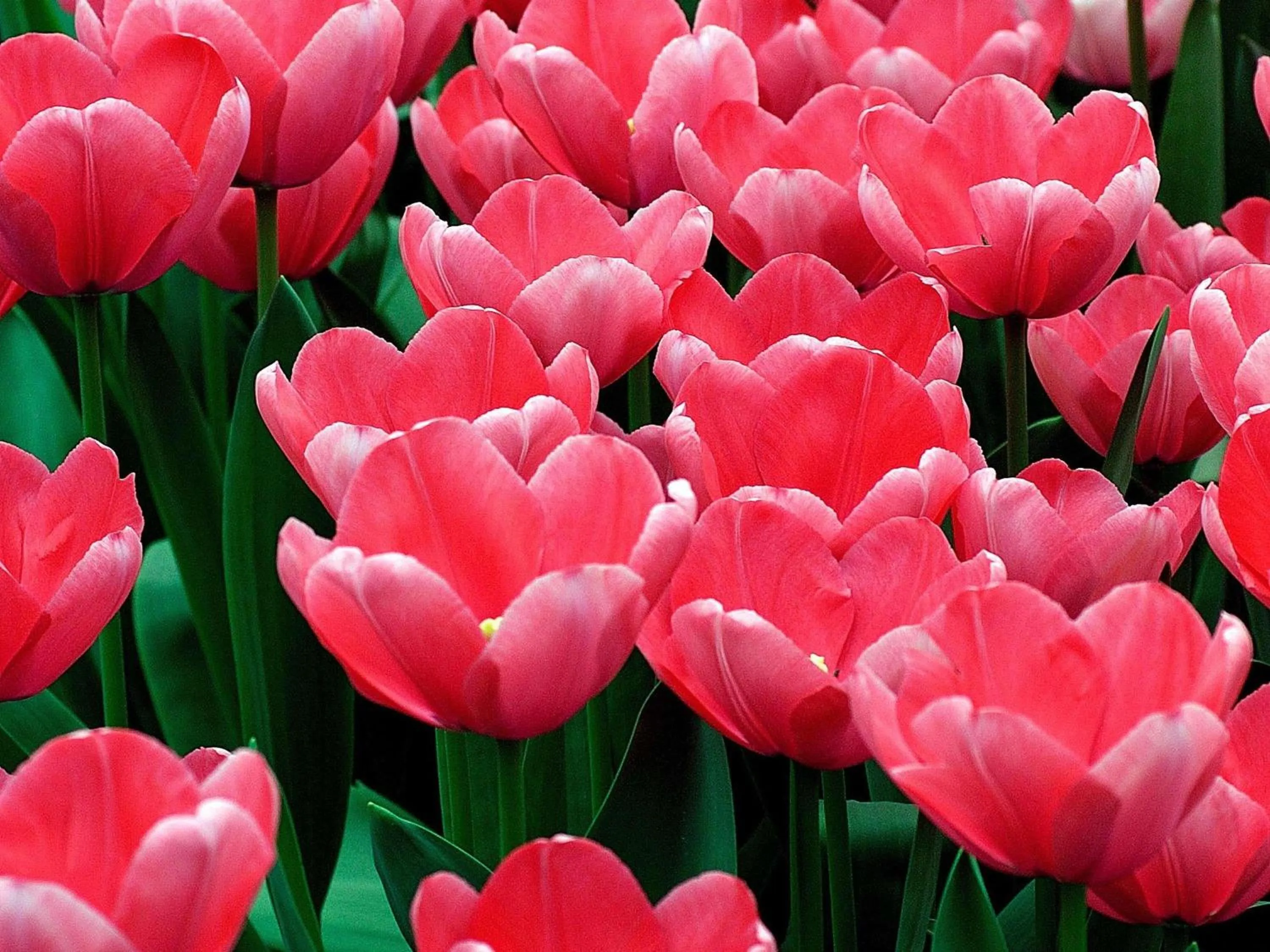 Other in INK Hotel Amsterdam - MGallery Collection