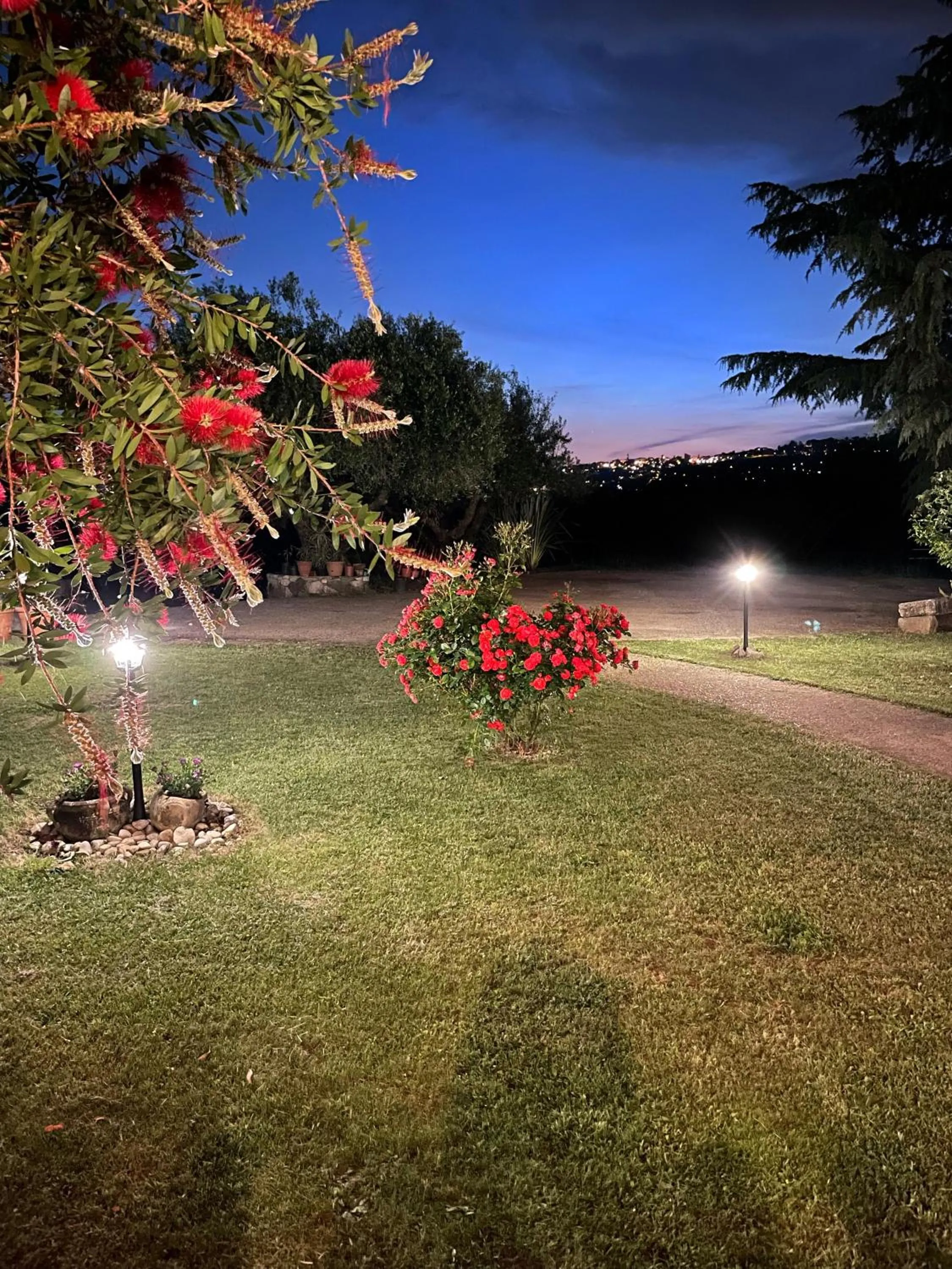 Garden, Beach in Room24