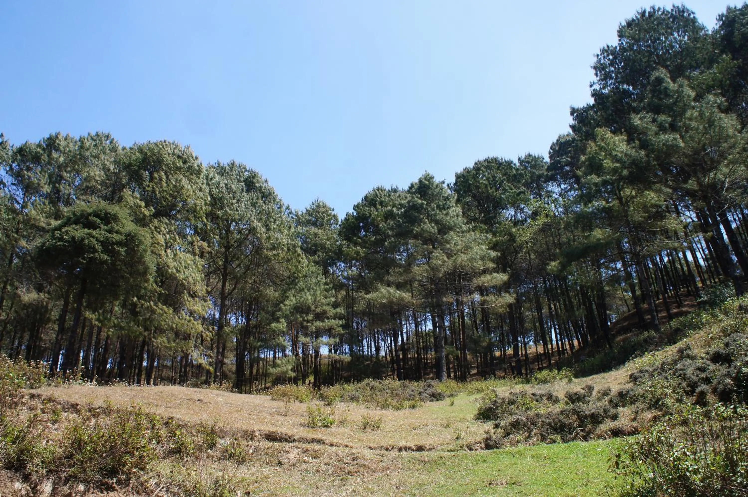 Day in Hotel Mount Paradise