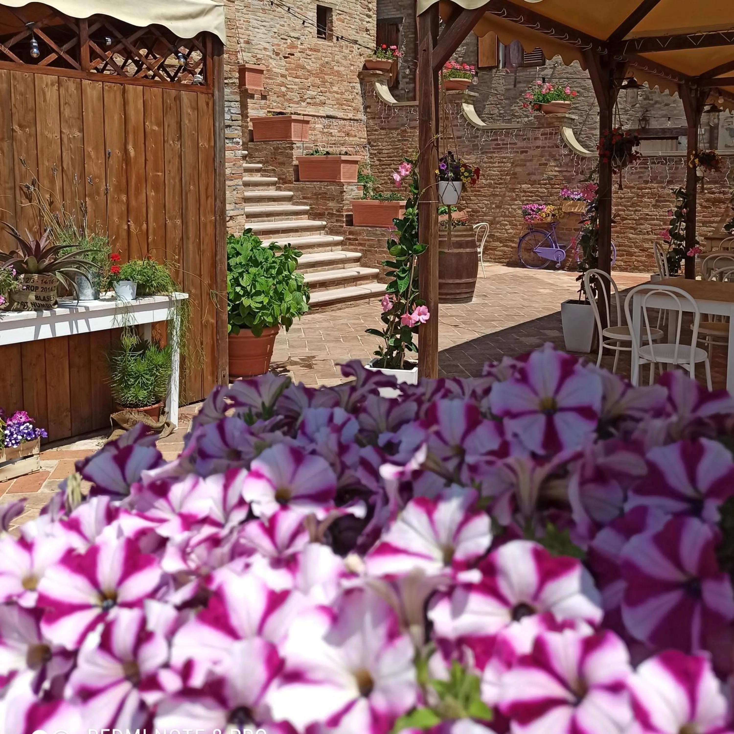 Garden in Albergo Diffuso Borgo Montemaggiore