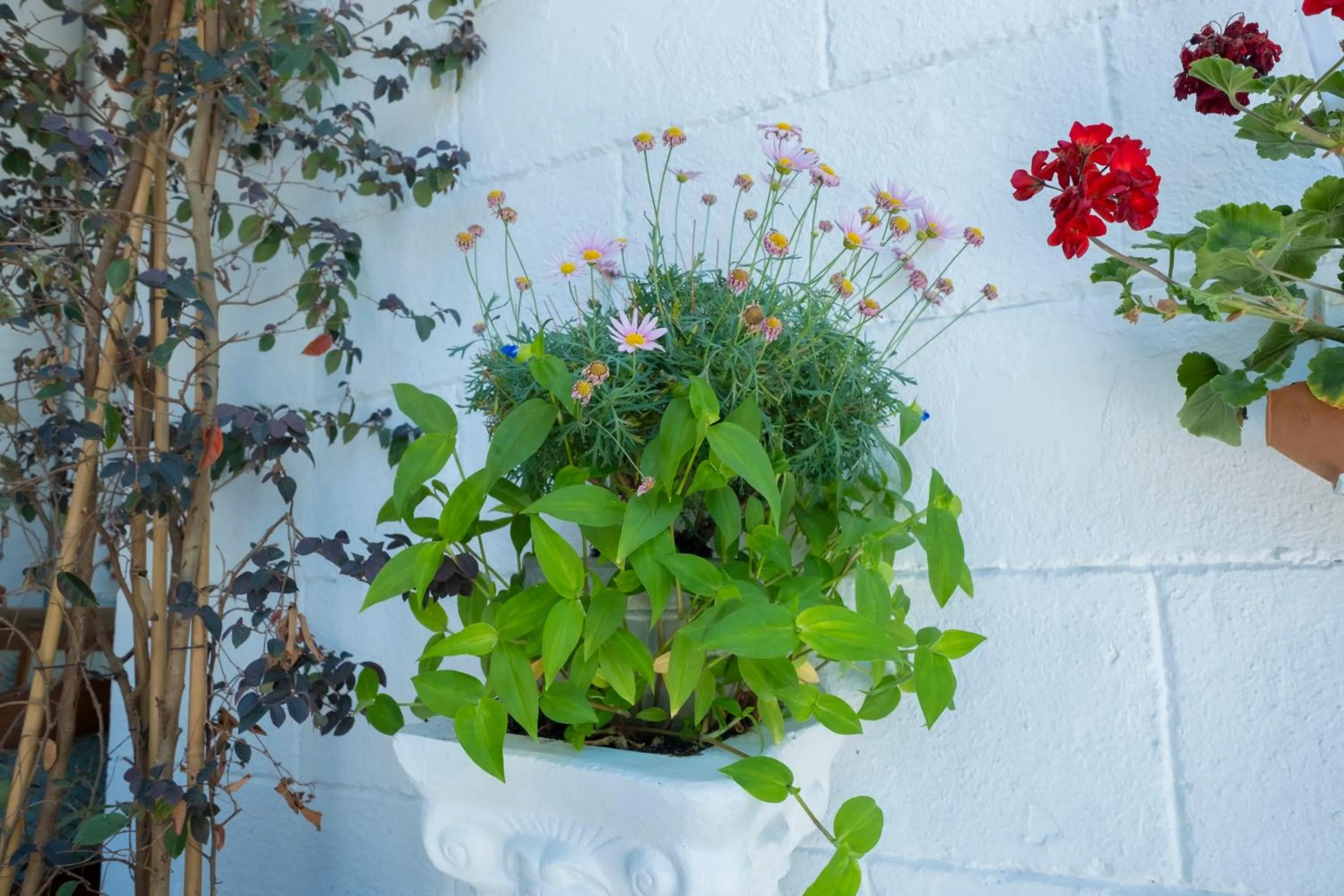 Spring in Solomon's Mansion Hotel Istanbul