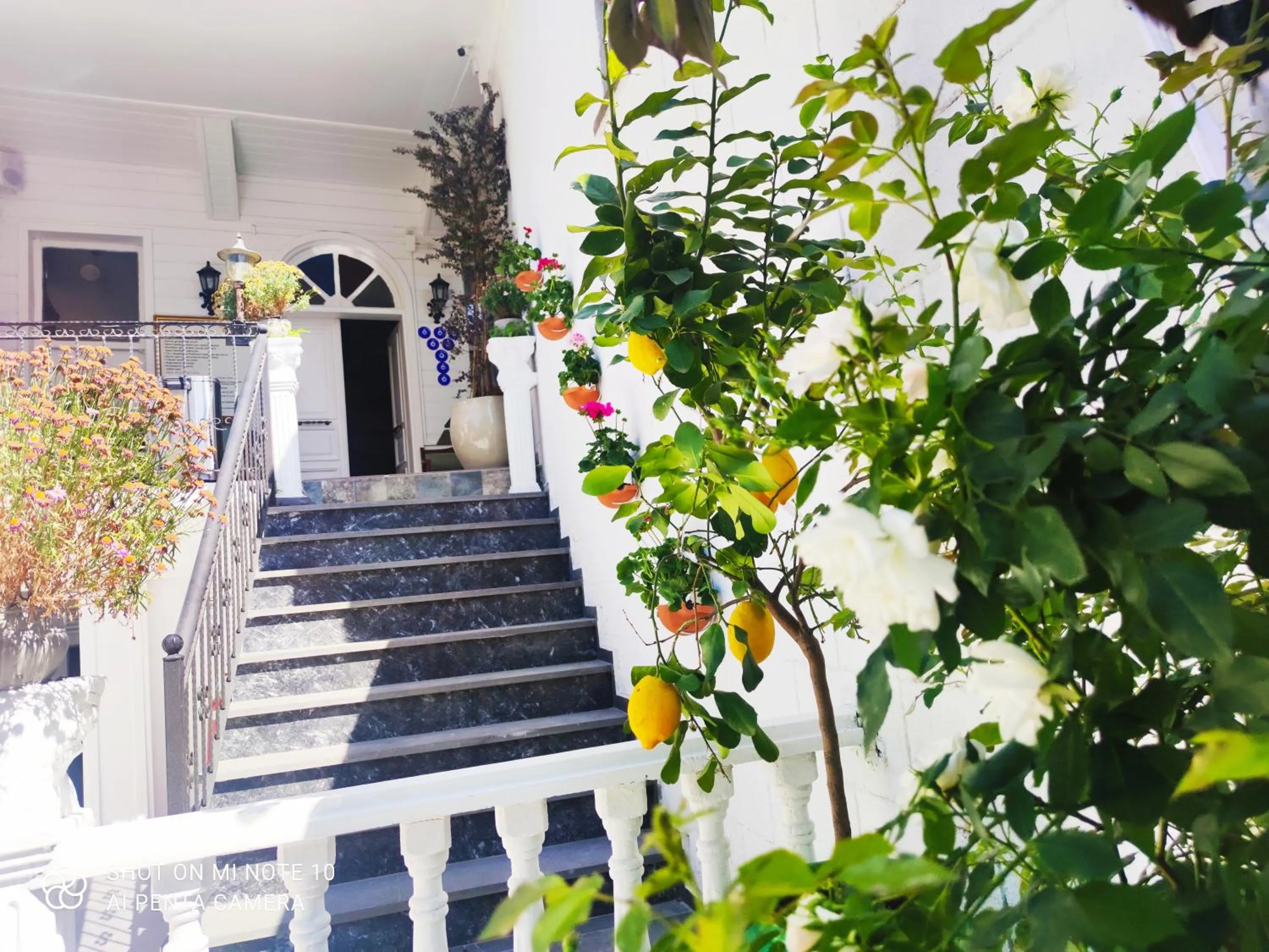 Garden in Solomon's Mansion Hotel Istanbul