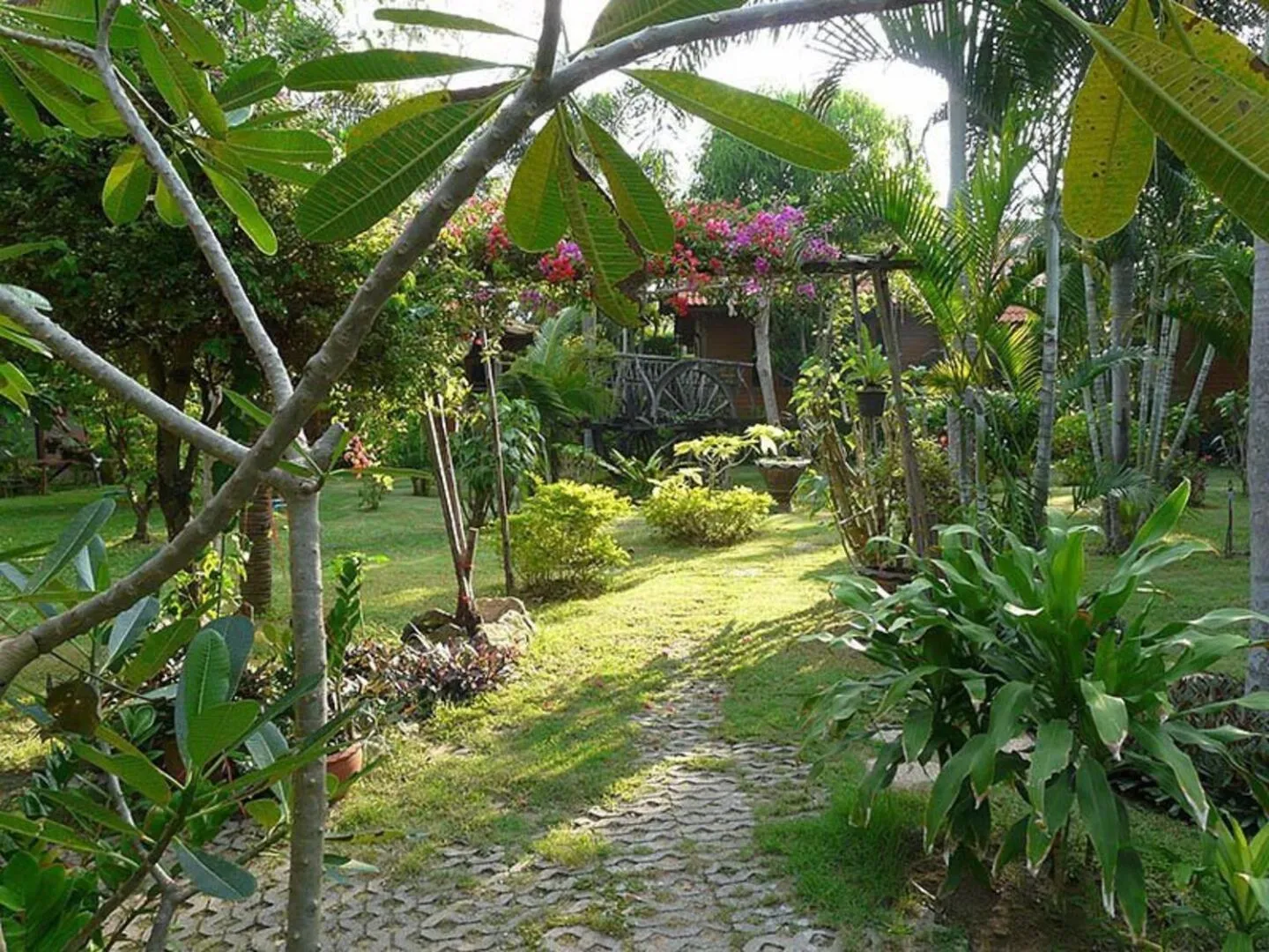 Garden in Bangsaray Village Resort