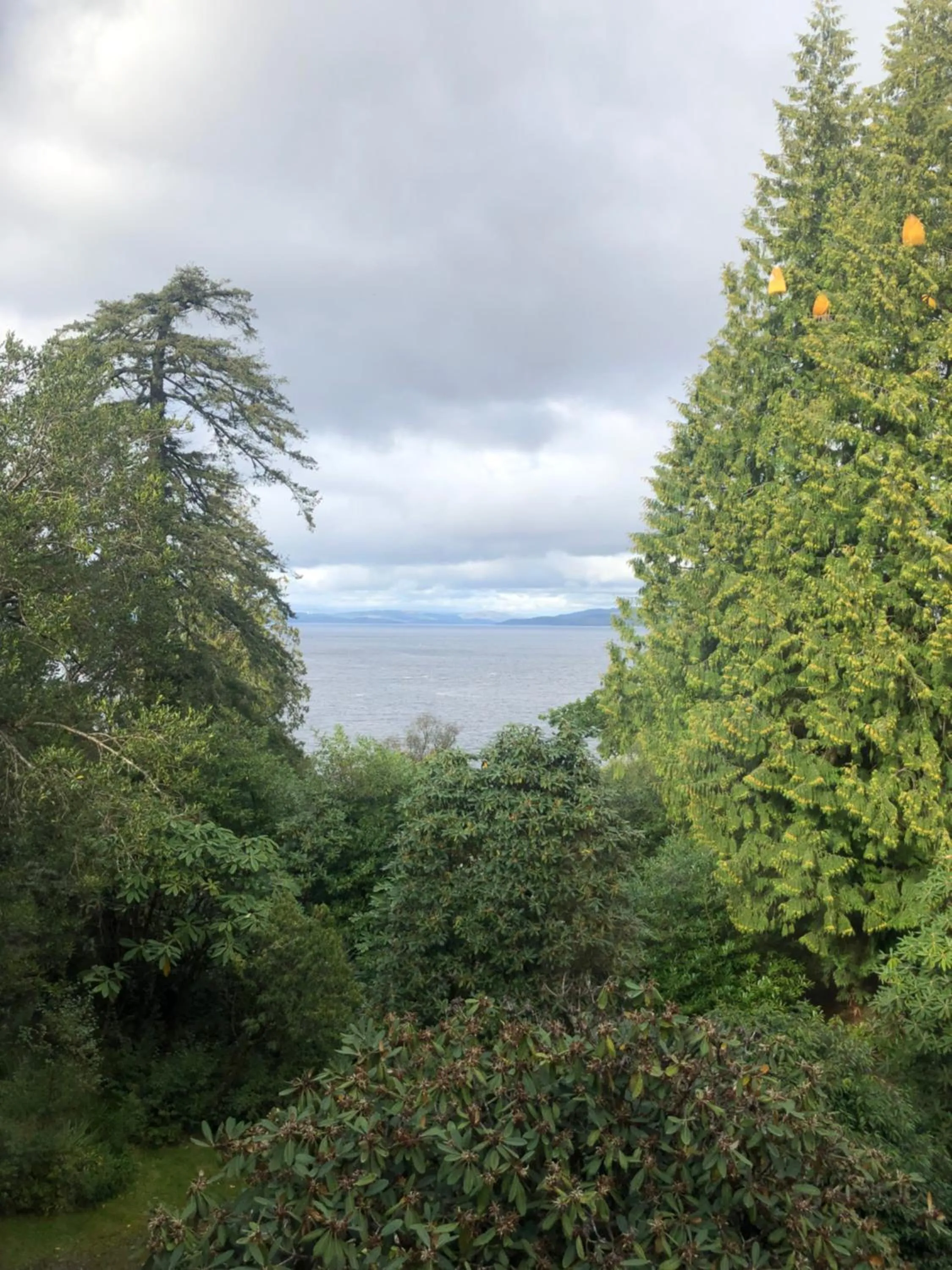 Natural landscape in Stonefield Castle Hotel ‘A Bespoke Hotel’