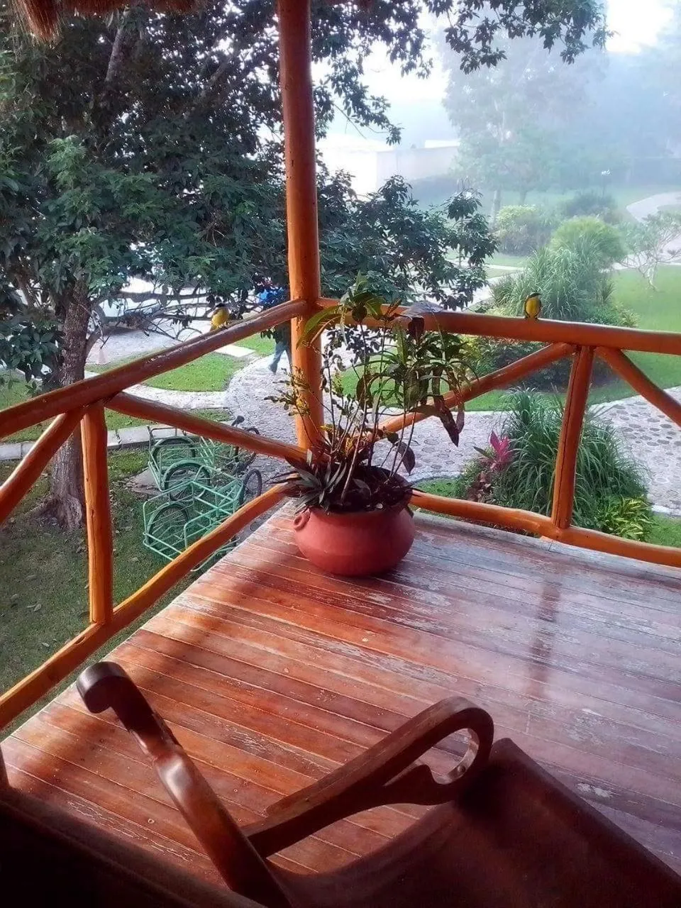 Balcony/Terrace in hotel villas chicanna