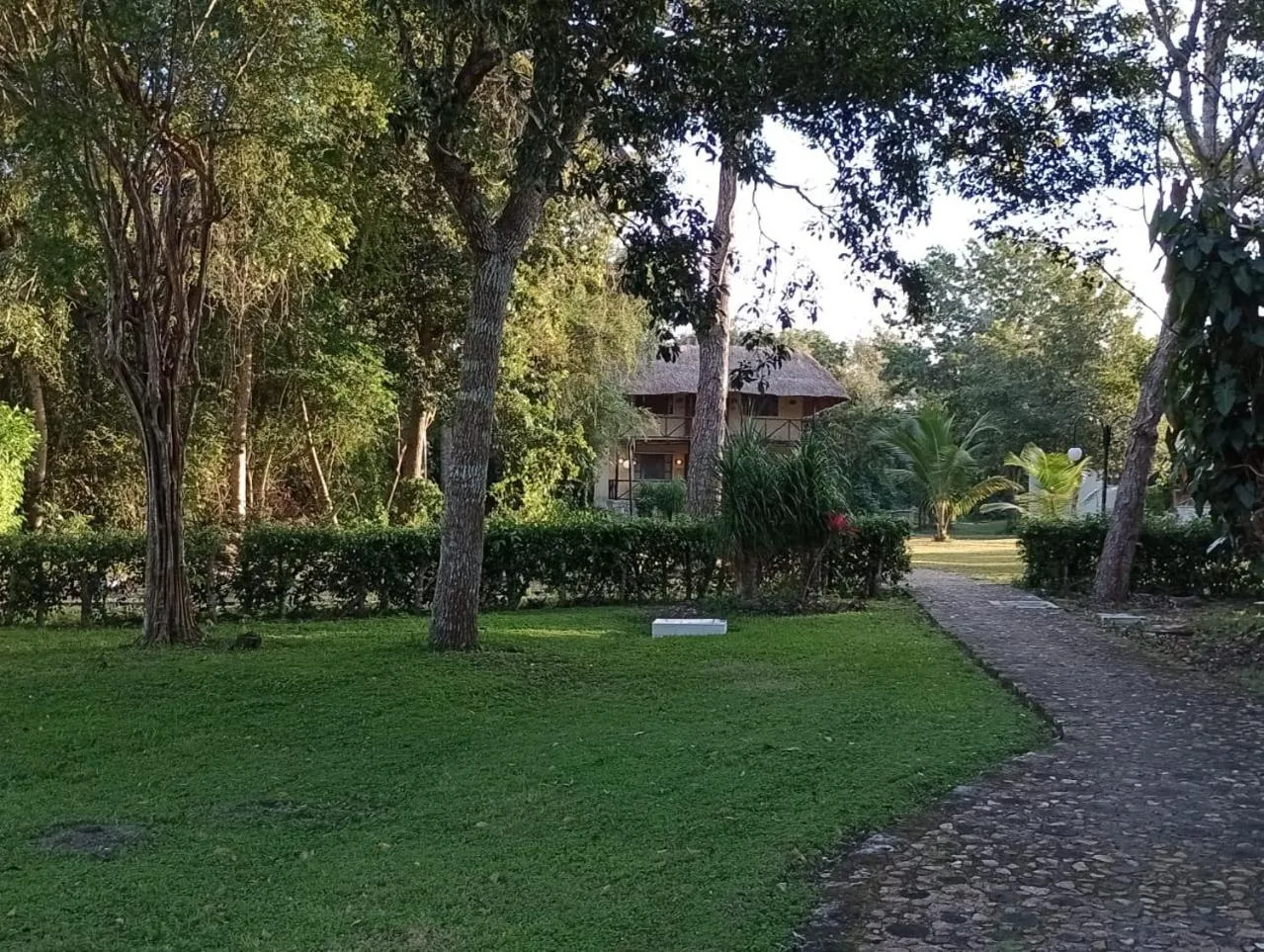 Garden in hotel villas chicanna