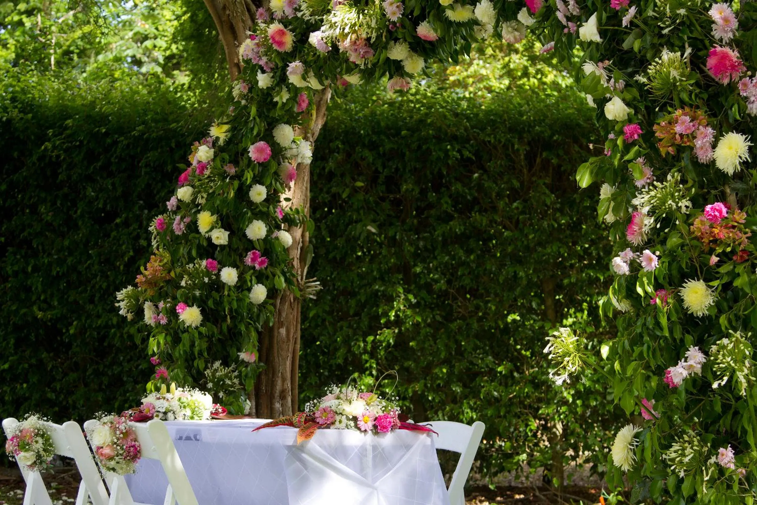 Garden in hotel villas chicanna