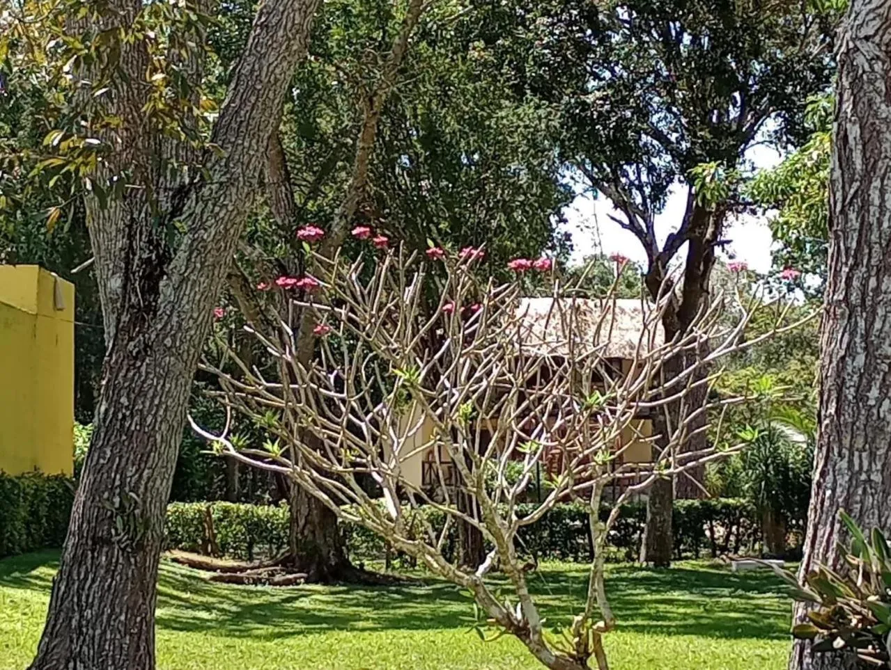 Spring in hotel villas chicanna