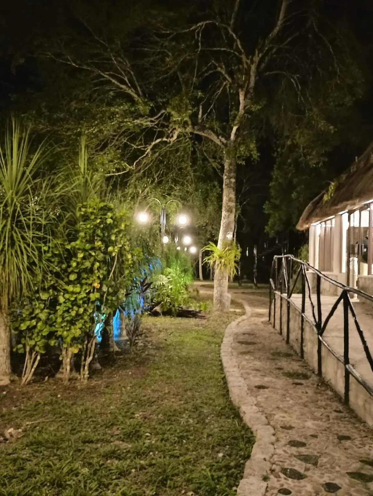 Garden in hotel villas chicanna