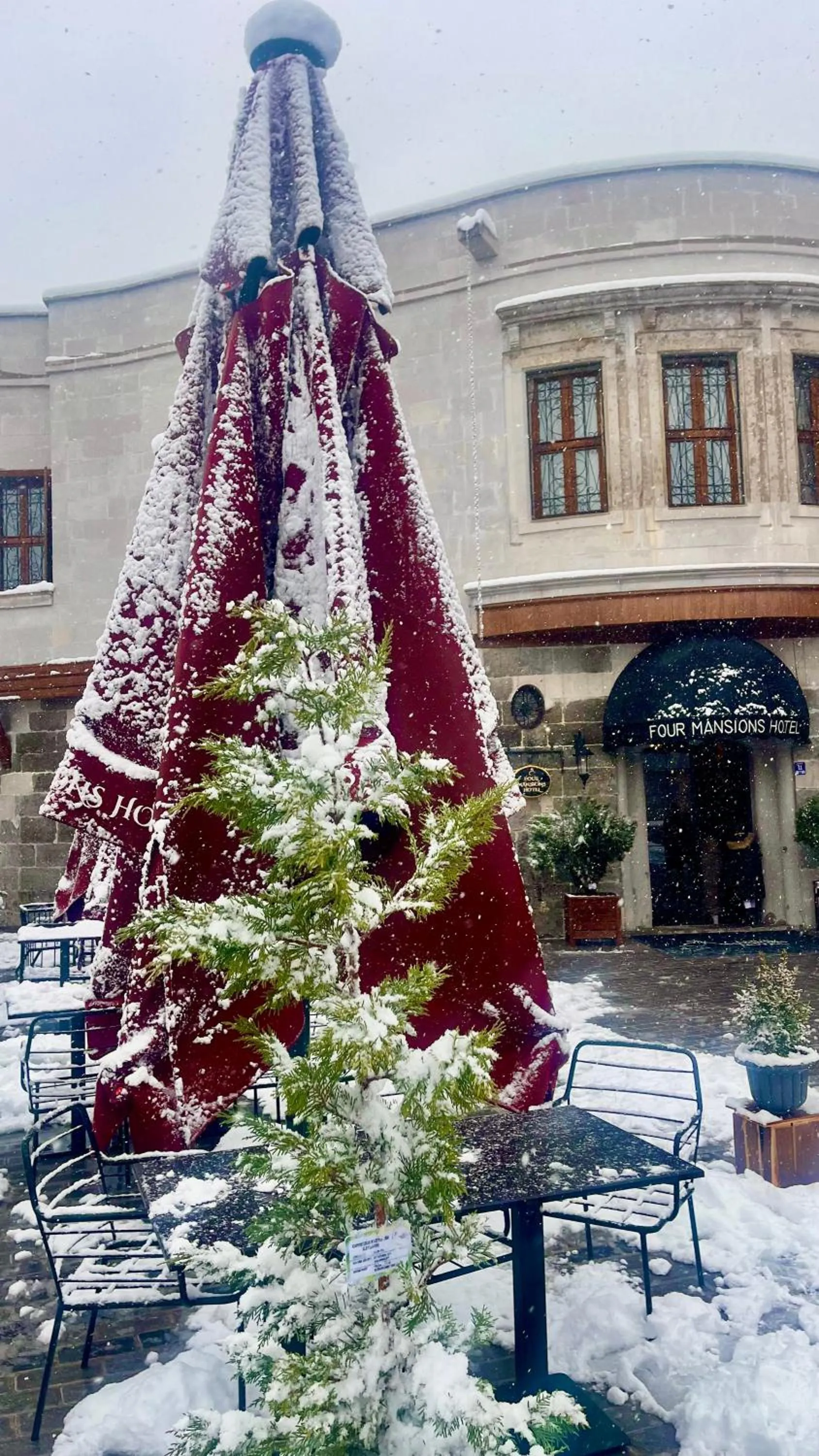 Garden in Four Mansions Hotel