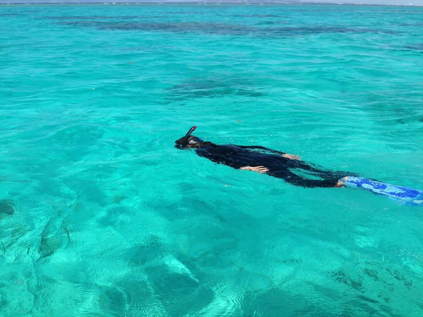 Snorkeling in Cottage Do
