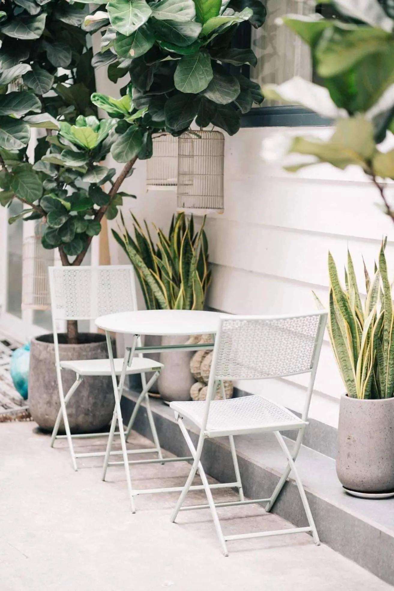 Garden in Lily Hostel