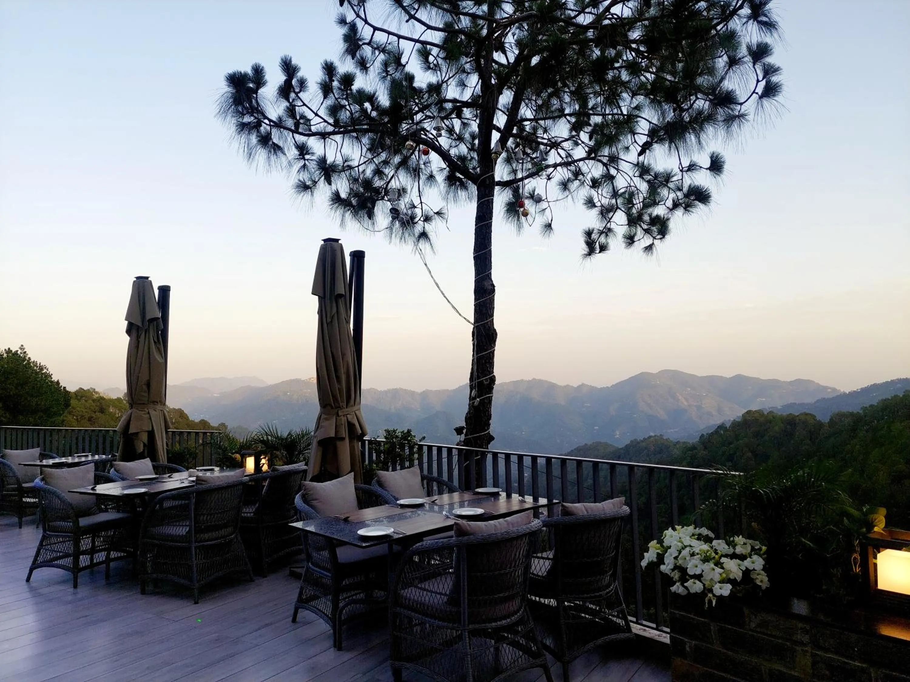Restaurant/places to eat in OREN Kasauli