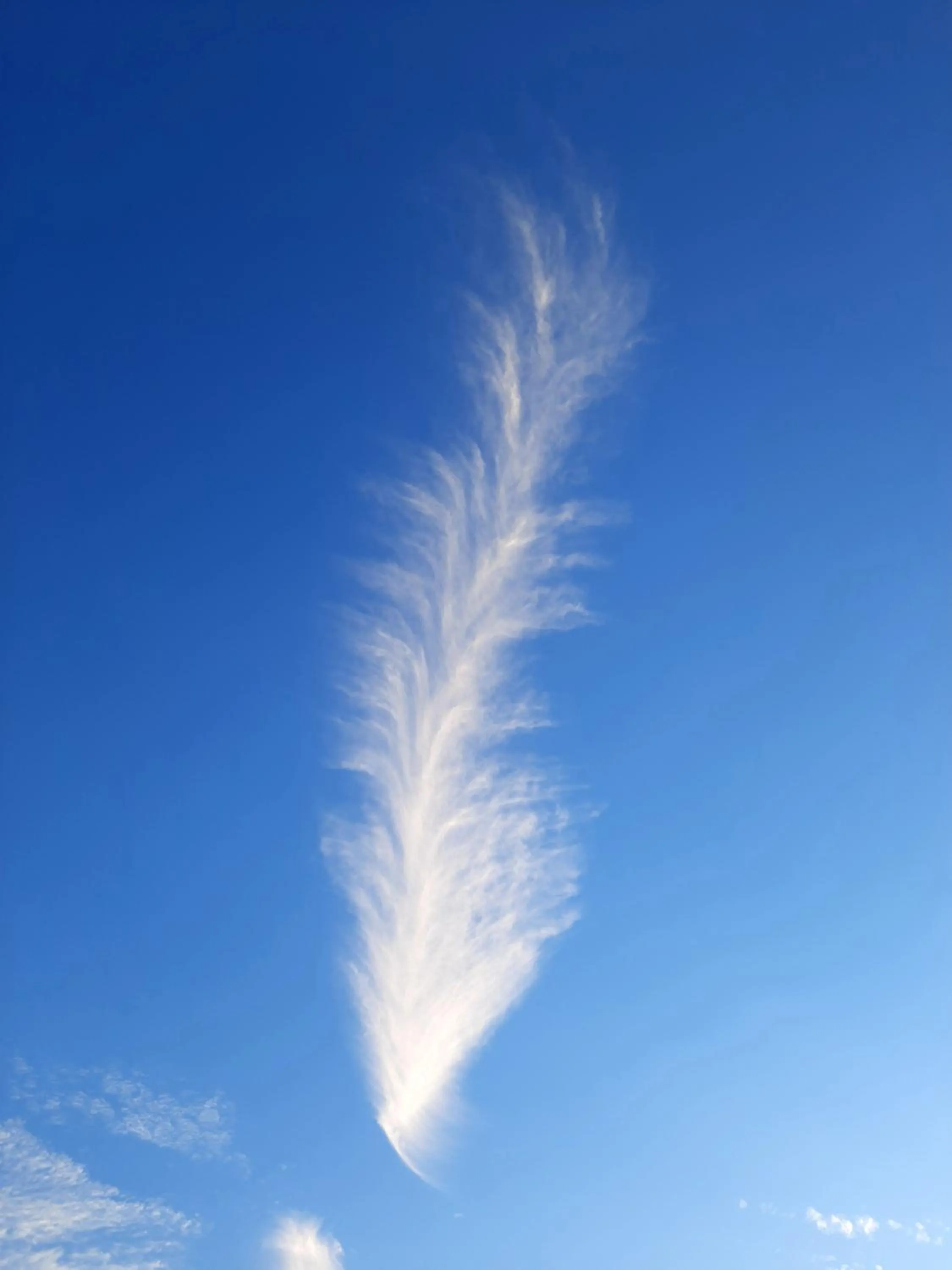 View (from property/room) in OREN Kasauli