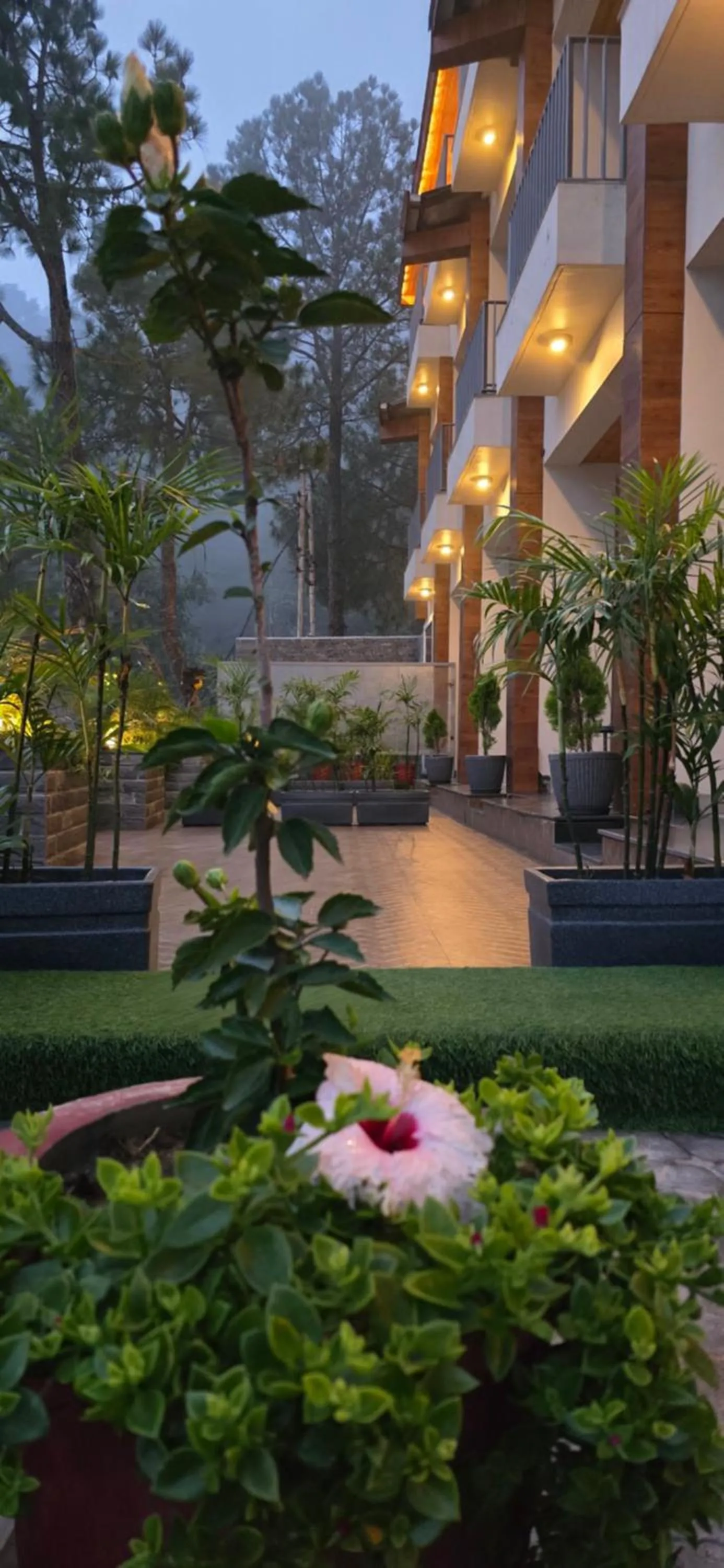 Property building in OREN Kasauli