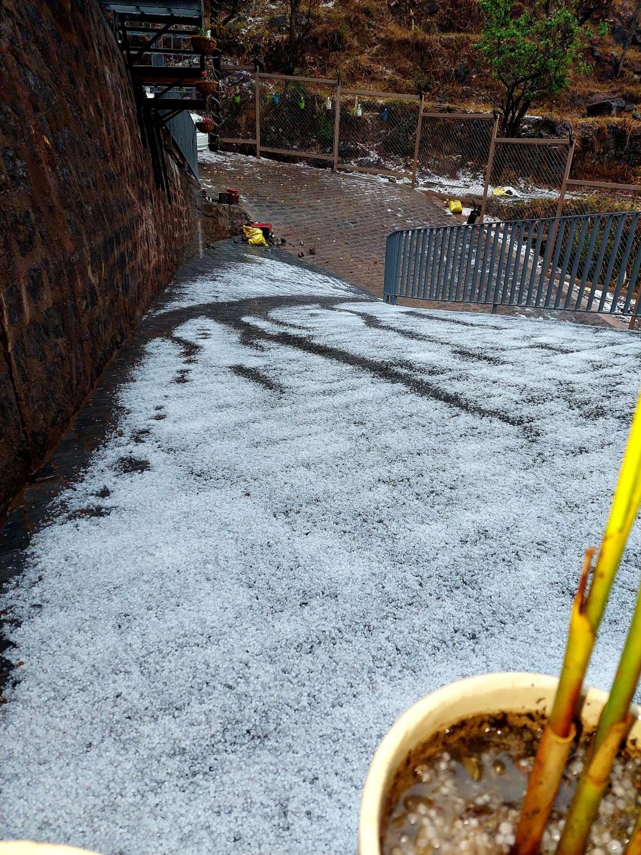 Winter in OREN Kasauli