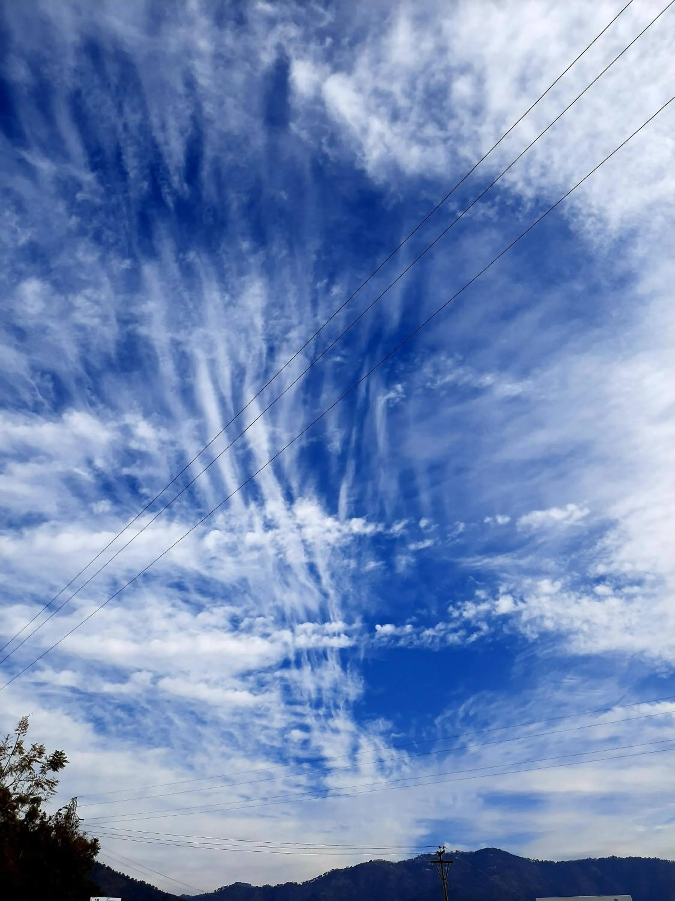 View (from property/room) in OREN Kasauli