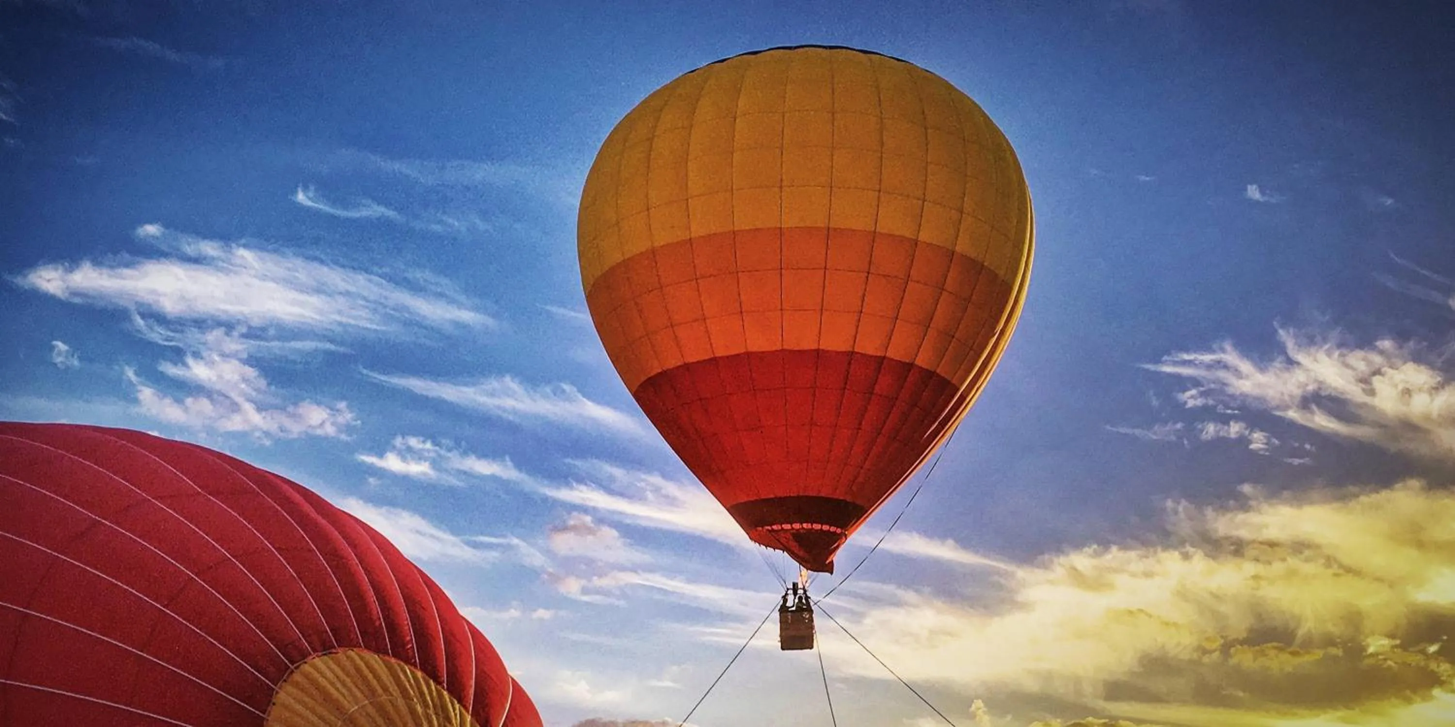 Activities in 花语岸·度假酒店(H·Flora Hotel)