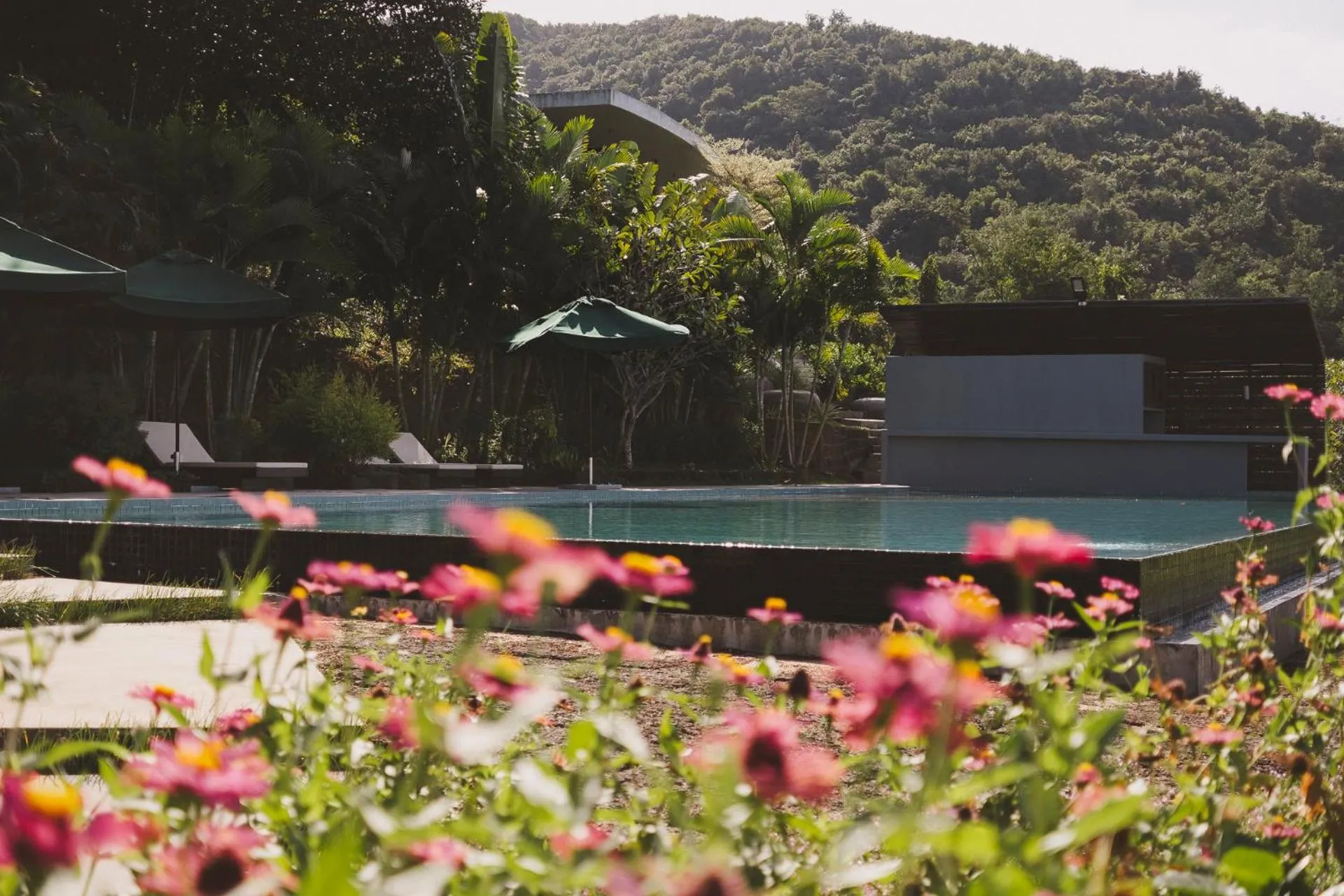 Garden in La Plantation Villa