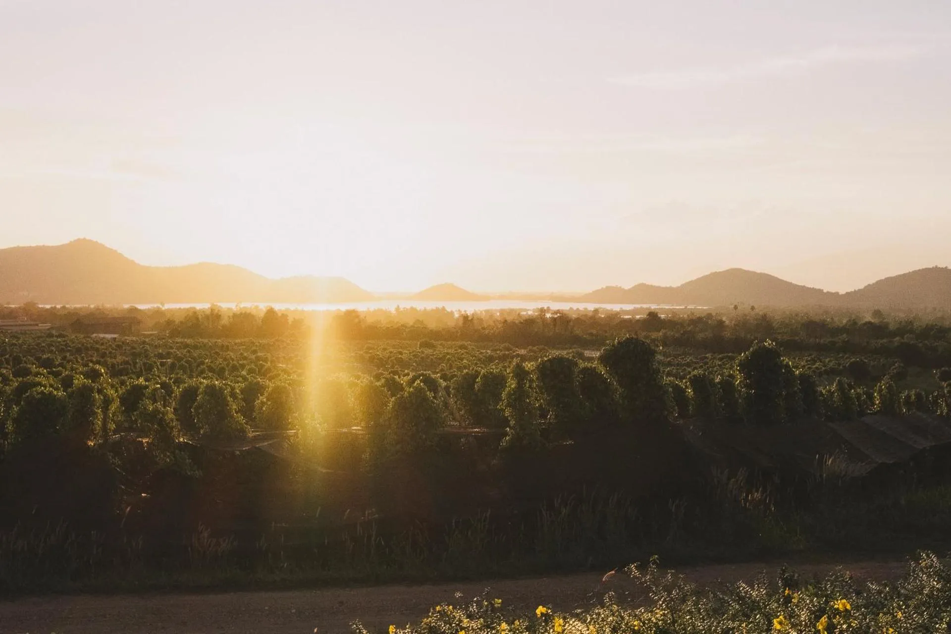 Sunset in La Plantation Villa
