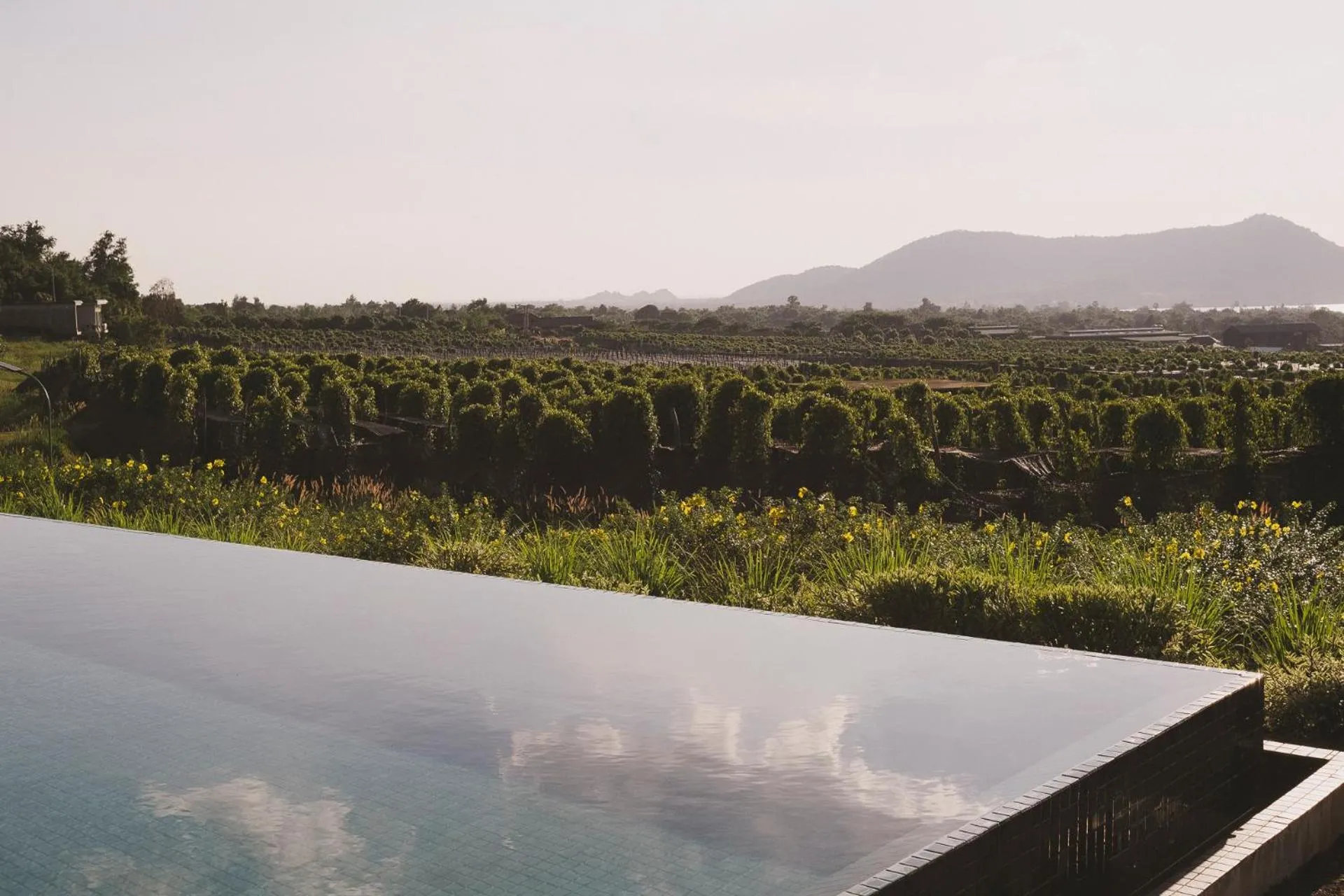 Swimming pool in La Plantation Villa