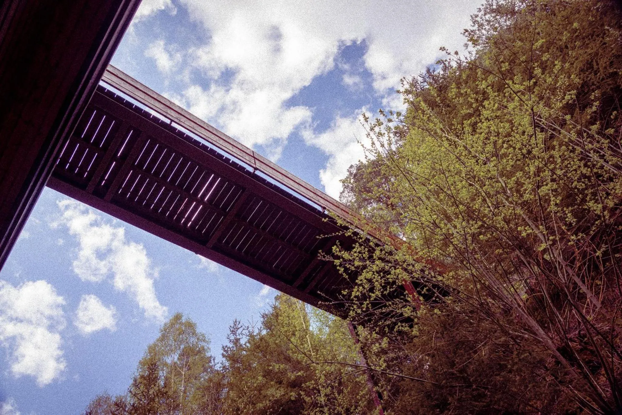 Hiking in Wellnesshotel Sonnenhalde Tonbach