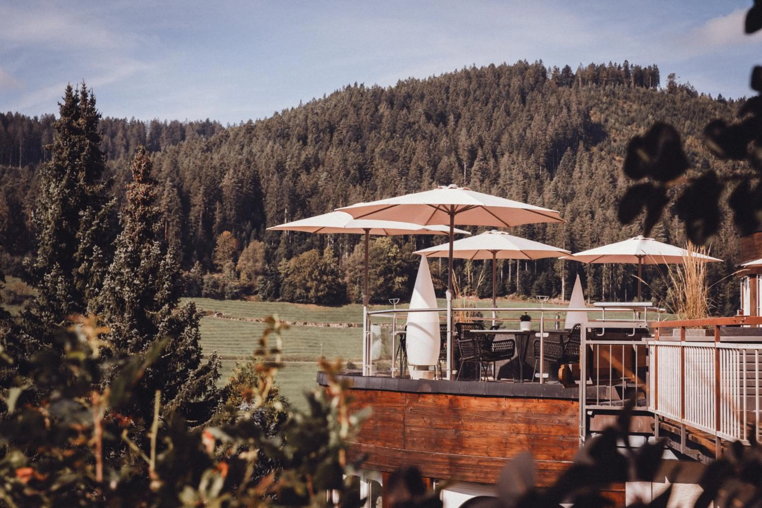 Garden in Wellnesshotel Sonnenhalde Tonbach