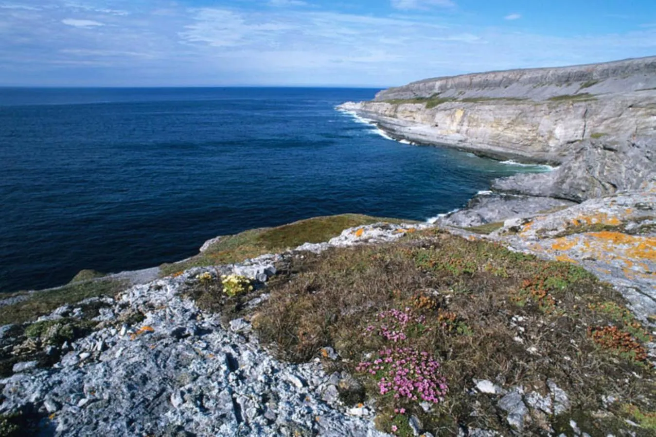 Natural landscape in Burnt Cape Cabins
