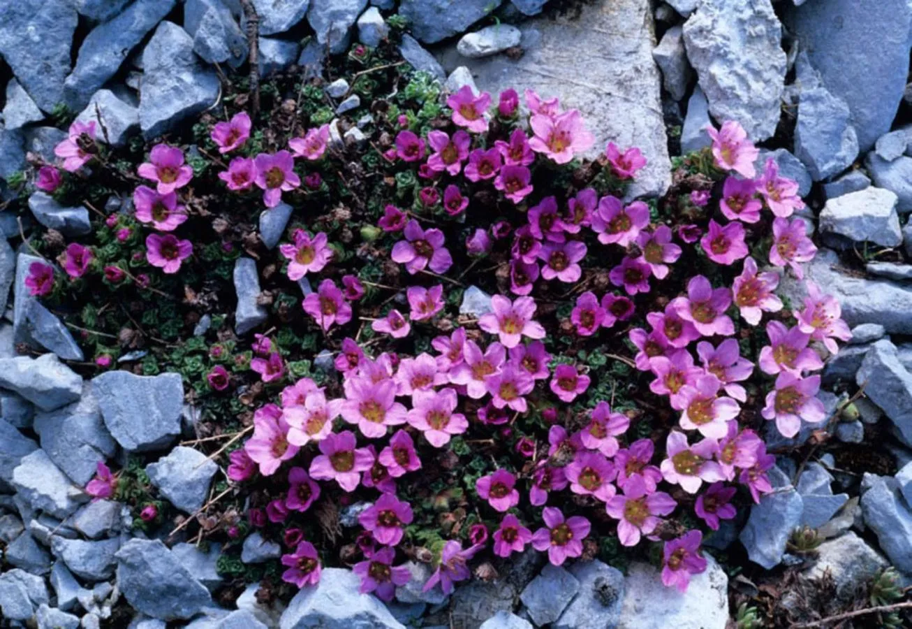 Nearby landmark in Burnt Cape Cabins