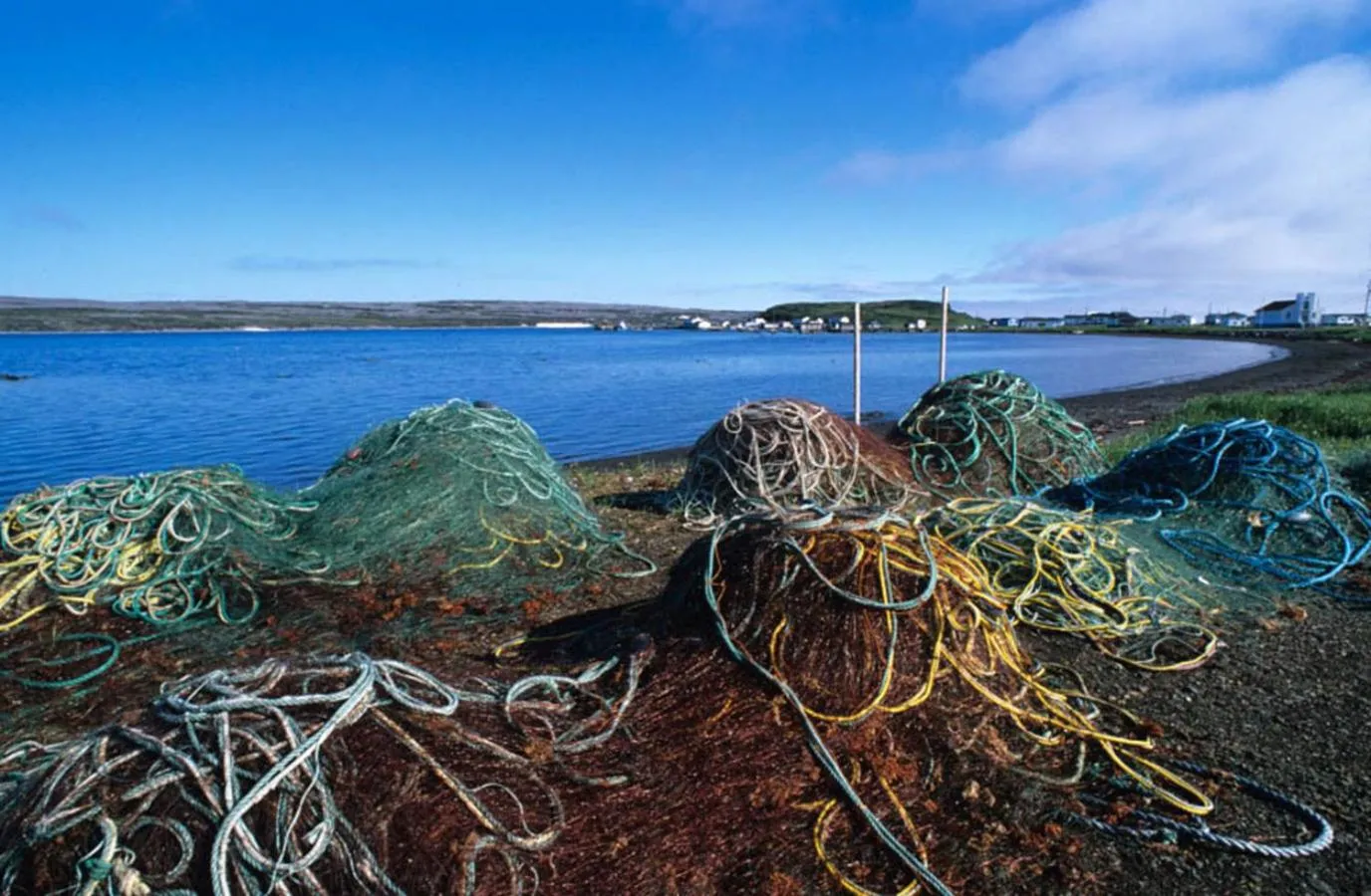 Natural landscape in Burnt Cape Cabins