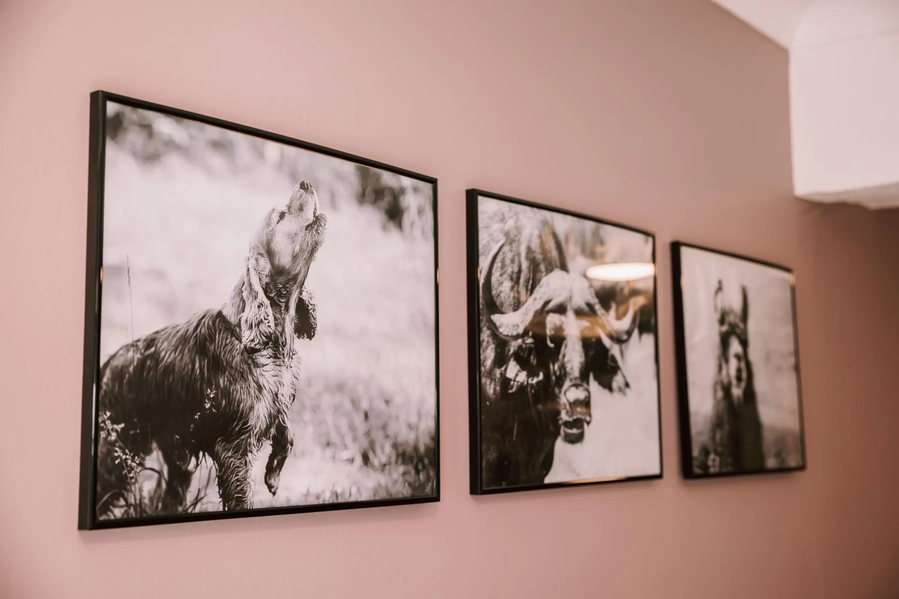 Decorative detail in Allerdale Court Hotel