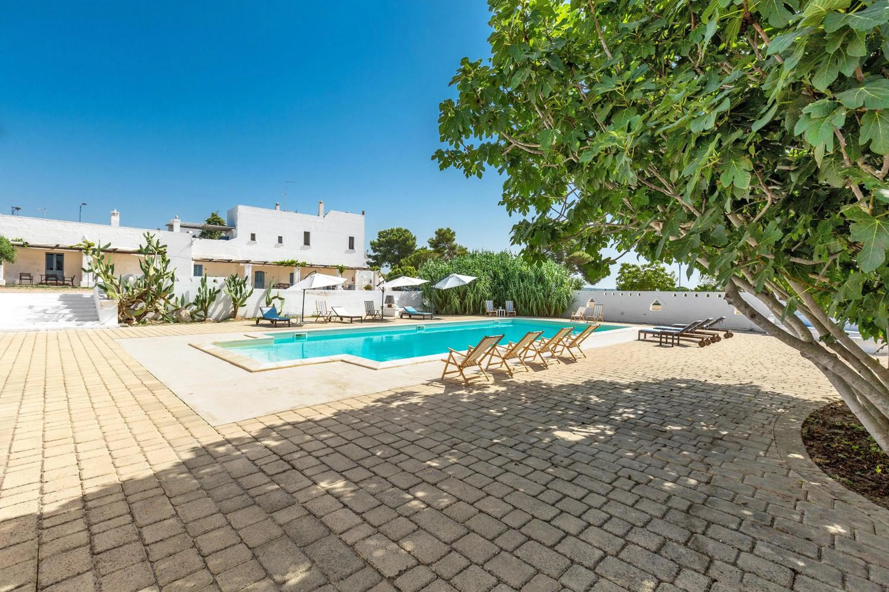Swimming pool in Masseria Pepe