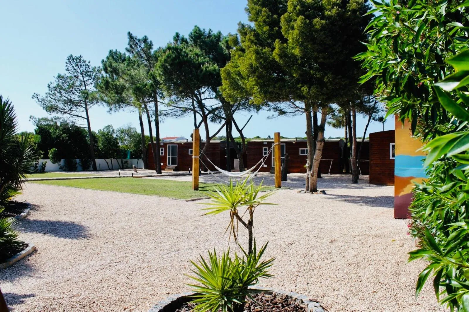 Garden in The Lighthouse Hostel